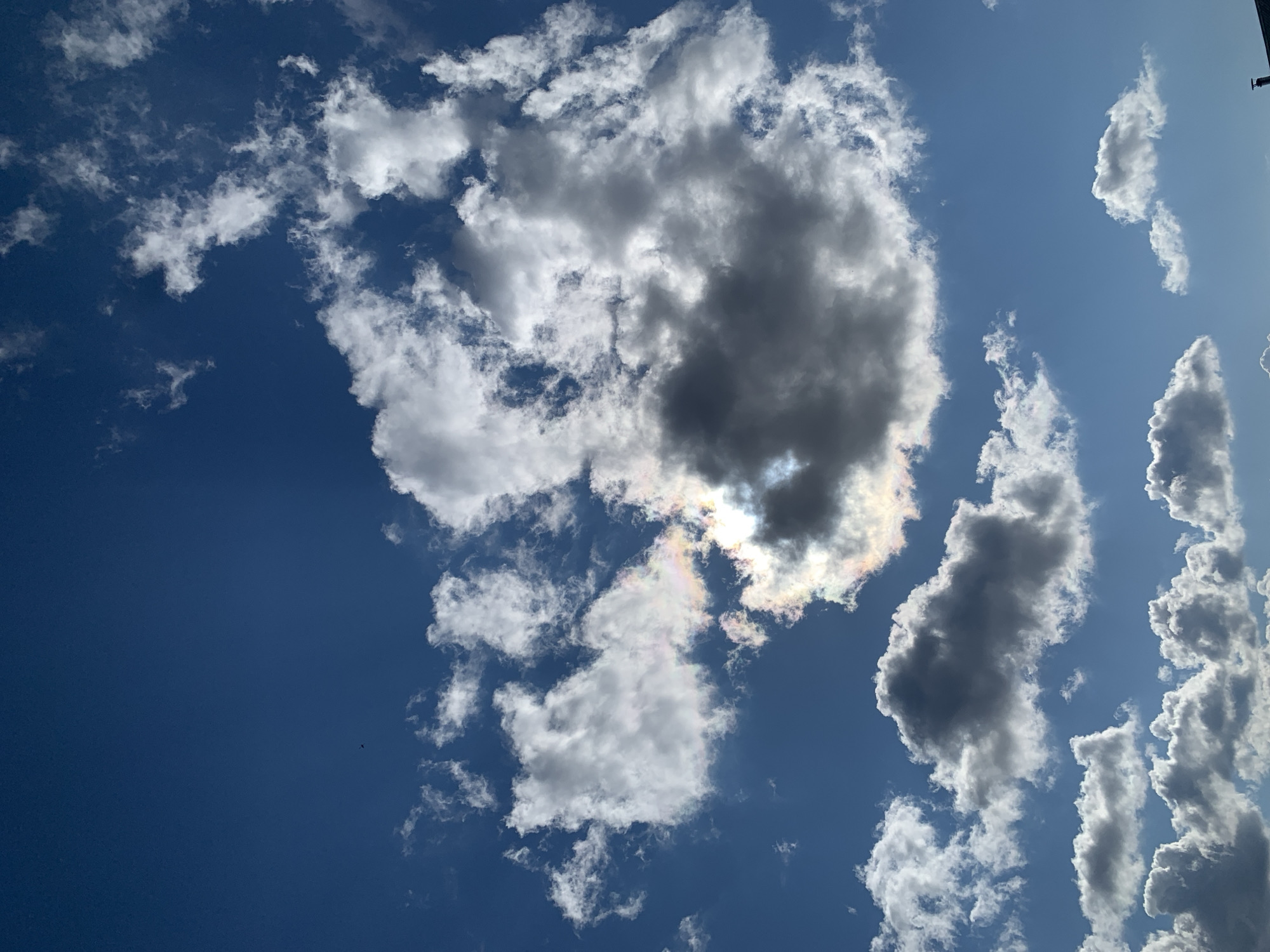 The image displays a bright, partially cloudy sky, predominantly a deep blue, indicative of a sunny day, likely midday or afternoon. The sky is dotted with a variety of clouds, ranging from wispy, bright white formations to denser, darker grey clouds that suggest greater thickness or shadow.
A striking feature is the presence of cloud iridescence, particularly visible around the edges of a larger, darker cloud formation in the upper right quadrant (when viewed upright). This atmospheric phenomenon manifests as soft, rainbow-like colors—pinks, greens, and yellows—where sunlight diffuses through the cloud's water droplets or ice crystals.
The provided crops offer closer views of these elements: some isolate sections of clear, vibrant blue sky with sparse white clouds; others focus on the darker, more voluminous cloud masses; and several highlight the colorful iridescence. One crop reveals a tiny, dark speck, possibly a bird or insect, against the clear blue. Another shows a small, dark corner that might be a distant architectural element. No other objects or human activity are visible in the scene. There is no visible text in any of the images. This sky scene is set against the context of Фоки, Russia.