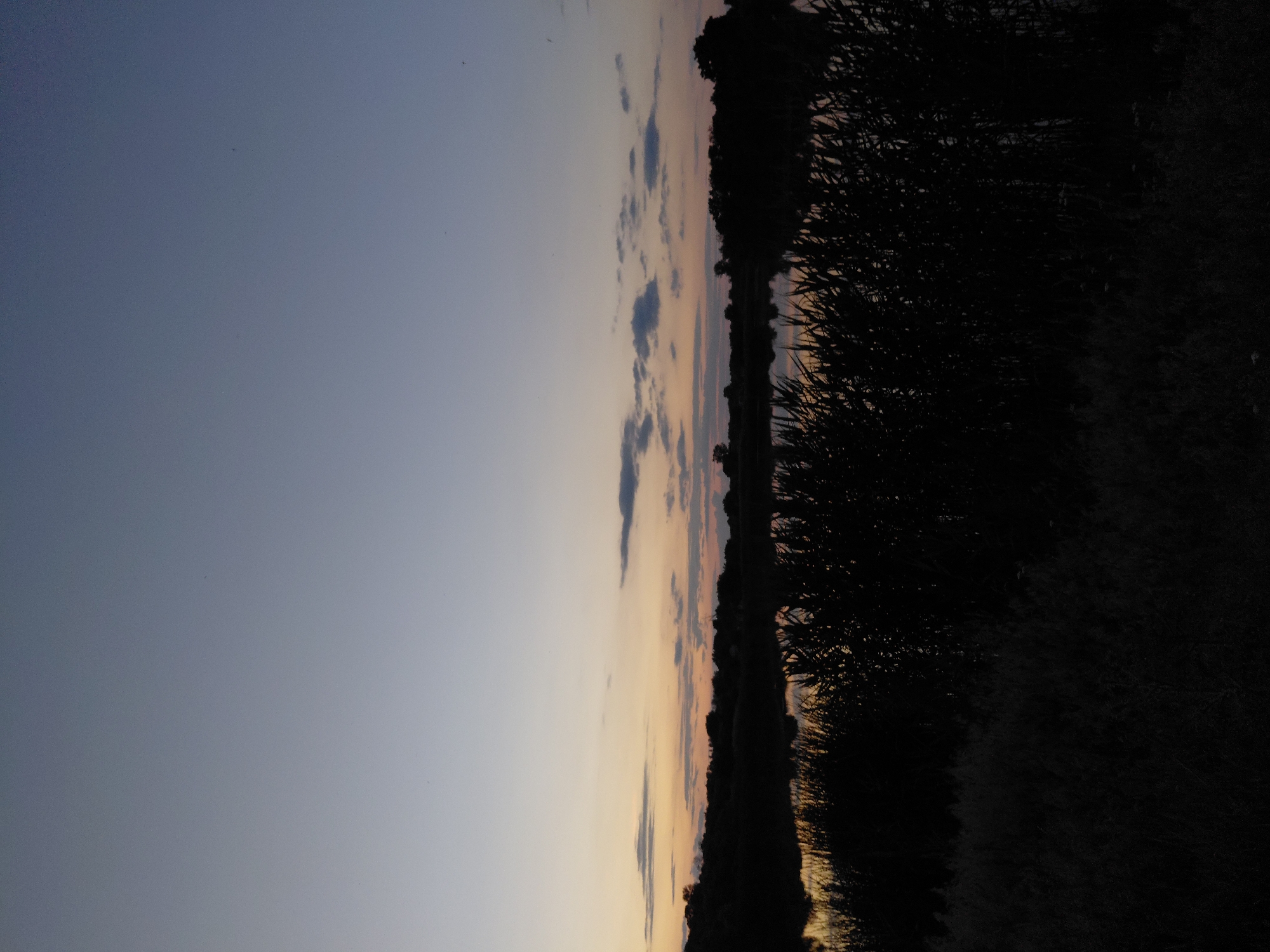 This is a vertical, wide-angle photograph of a body of water at dusk in Ustyvytsia, Ukraine. The sky is a gradient of pale blue at the top, transitioning to soft orange and yellow hues near the horizon, with scattered, wispy clouds. A dark silhouette of trees and vegetation lines the far bank of the water, with a few faint reflections visible on the surface of the water. In the foreground, tall, dark reeds or grass obscure the lower portion of the scene. The overall impression is one of natural tranquility at the close of day.