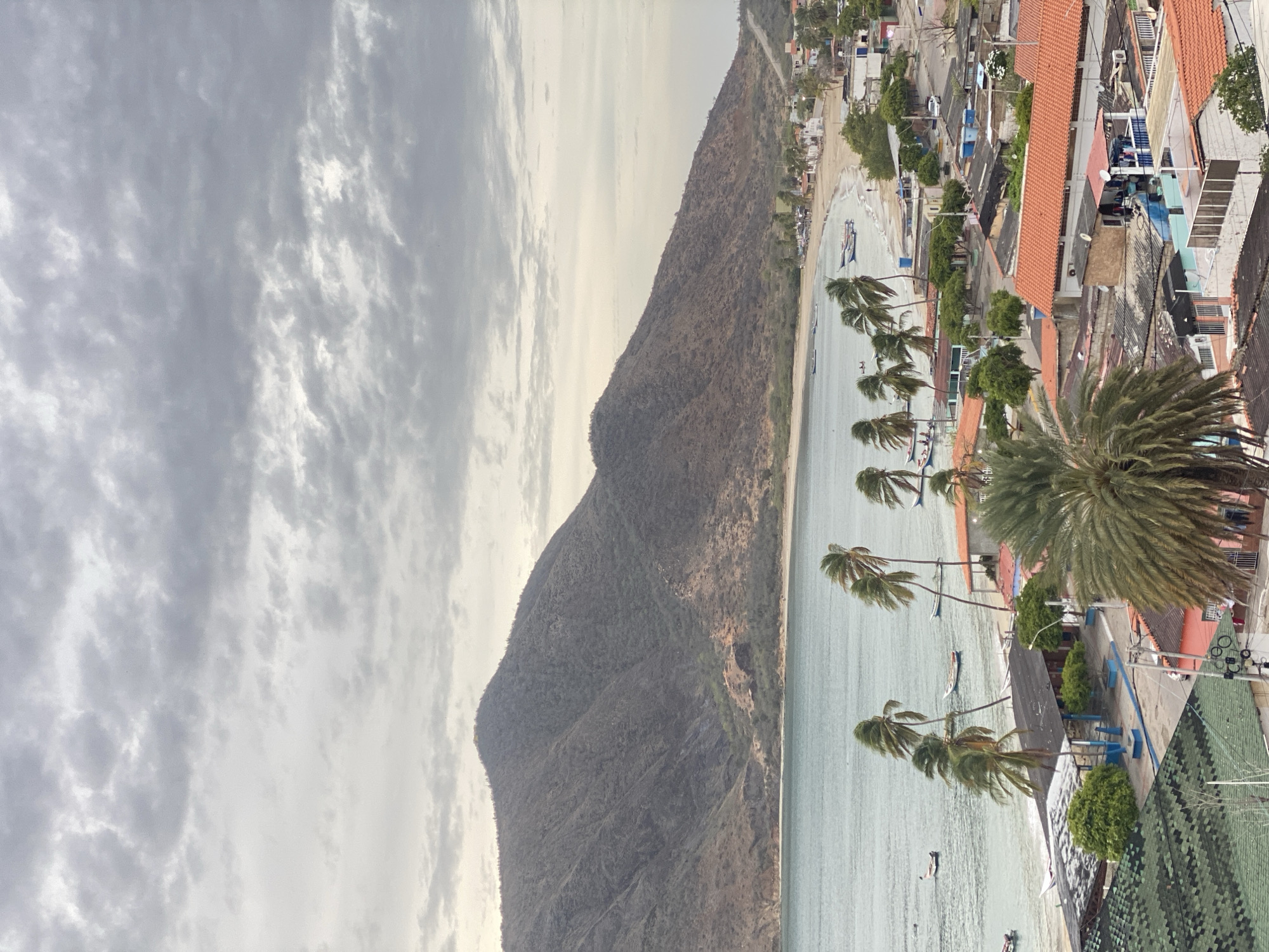 This image presents an elevated view of the coastal town of Juan Griego, Venezuela, under an overcast sky. The upper portion of the frame is dominated by a light grey, densely cloudy sky with visible texture. Below the sky, a large, arid mountain range with sparse brown and green vegetation forms the backdrop, curving around a bay. The mountain slopes steeply descend towards the water's edge.
In the mid-ground, a calm, light blue-green body of water, identified as the bay of Juan Griego, occupies the central left. Numerous small, mostly white and blue fishing boats or skiffs are scattered across the water. Some boats are closer to the shore, while others are further out in the bay.
Along the base of the mountains and the water, a light-colored sandy beach extends, populated by several individuals walking in the distance on the right side. Adjacent to the beach and extending into the foreground is a dense settlement of buildings. These structures feature a variety of roof types, including corrugated metal, bright orange terracotta tiles, and dark green shingled roofs. The building walls are painted in various muted colors such as white, light blue, orange, and pink. Utility poles and power lines are visible throughout the residential areas.
Numerous palm trees with fronds swaying slightly, suggesting wind, are interspersed along the beachfront and among the buildings. A prominent, large palm tree with a thick trunk and full fronds is situated in the immediate foreground, partially obscuring the view of the town below. Other green trees and bushes are also visible within the urban landscape. A winding road is visible on the right side, ascending the mountain slope away from the town. The overall lighting is soft, consistent with an overcast day.
