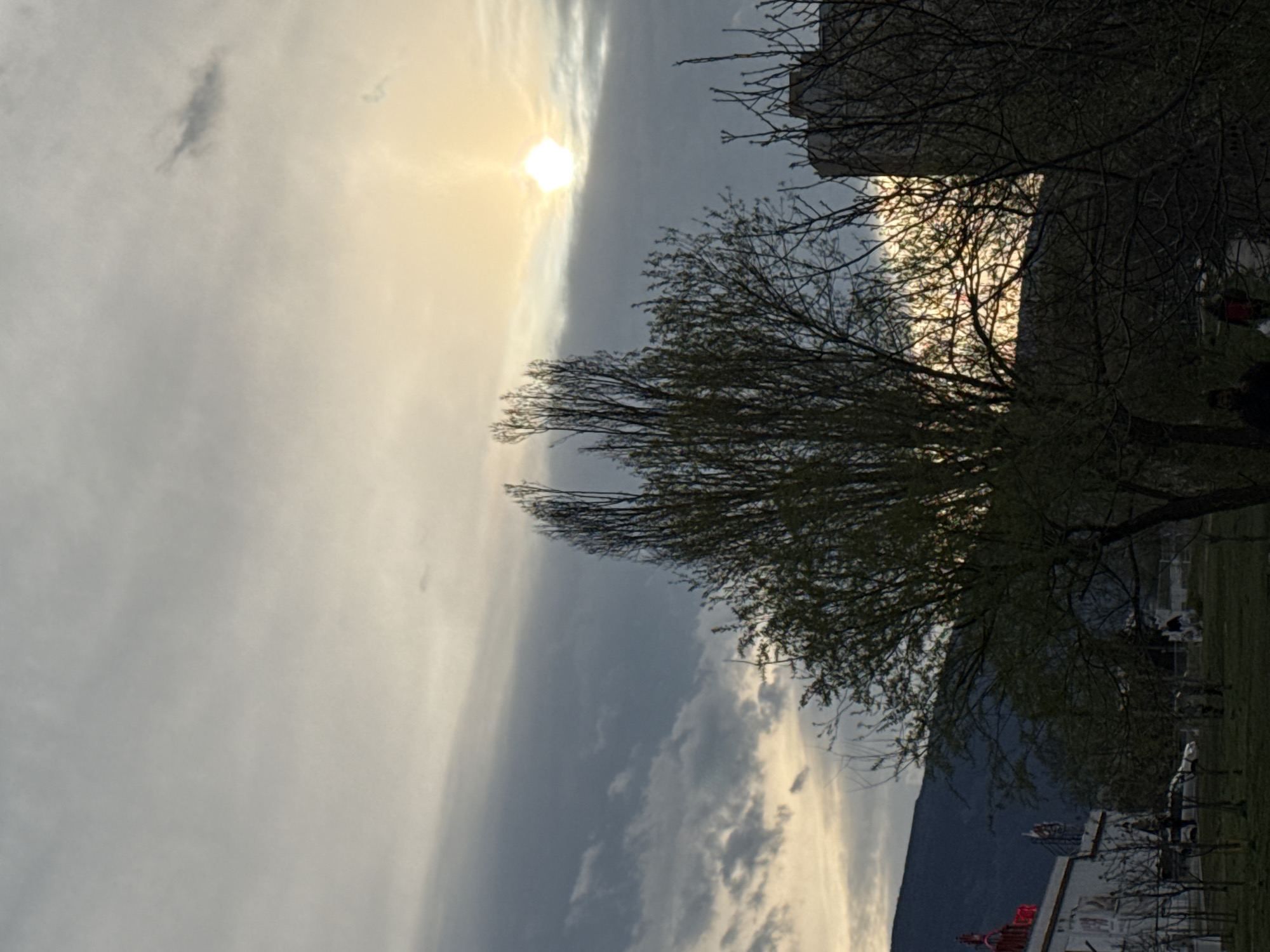 The image shows a landscape with a cloudy sky and the sun partially obscured by clouds. In the foreground, there's a tree with budding leaves. Further down, there appear to be buildings and a glimpse of a mountain range in the background. Some people are present in the mid-ground. The city location is Sofia, Bulgaria.