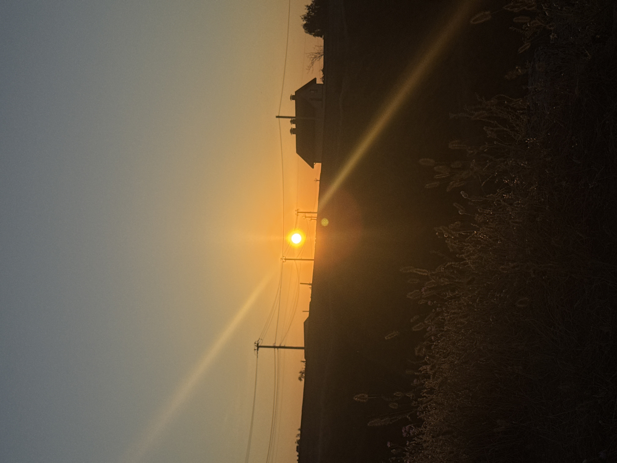 This image depicts a sunset over a rural landscape, likely near Mizhlymanske, Ukraine. The sun, a bright orange orb, is low on the horizon, casting a warm glow and creating lens flares that streak across the sky and down towards the foreground. The sky transitions from a pale blue at the top to a gradient of orange and yellow as it approaches the sun.
In the middle ground, a silhouetted house with a prominent roof and three chimneys stands against the vibrant sky. Several utility poles with power lines are also visible, running horizontally across the scene and connecting to the poles. The terrain appears to be hilly, with the house situated on an elevated point.
The foreground is dominated by dark, silhouetted vegetation, including tall grasses and some dried seed heads. The low light conditions obscure finer details of the plants, but their textures are visible against the brighter sky. The overall atmosphere is one of peaceful twilight in a countryside setting. There are no people visible in the image.