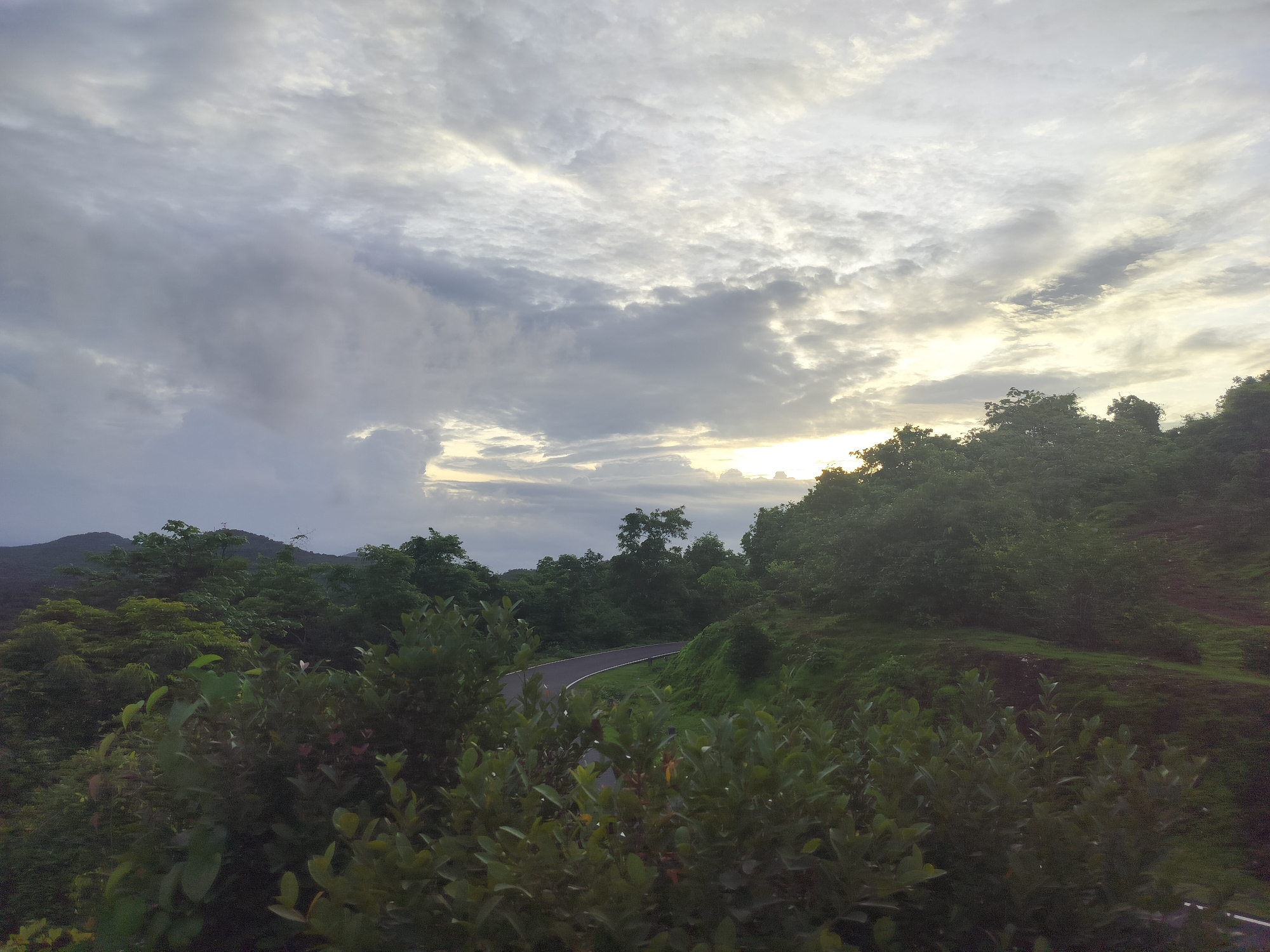 The image depicts a serene, natural landscape in Canacona, India, likely captured during a cloudy sunrise or sunset. The foreground is dominated by lush green foliage, with leaves and branches of various plants and trees creating a natural frame. These plants appear dense and healthy, hinting at a humid, tropical environment.
Beyond the immediate greenery, a winding asphalt road snakes through the landscape, disappearing into the dense vegetation. The road suggests human presence and access to the area, but no people are visible. The surrounding hills are covered in thick, verdant forests, with rolling contours extending into the distance. In the far background, silhouetted mountains are faintly visible against the sky.
The sky is a prominent feature, filled with dramatic, layered clouds. There are patches of sunlight breaking through the overcast, casting a soft, diffused light across the scene, particularly towards the right side of the image. This interplay of light and shadow adds depth and a sense of atmospheric beauty. The overall mood is peaceful and tranquil, evoking a feeling of calm and immersion in nature. The time of day is suggested by the soft, even light and the cloud cover, pointing towards either early morning or late evening. No text is visible in the image.