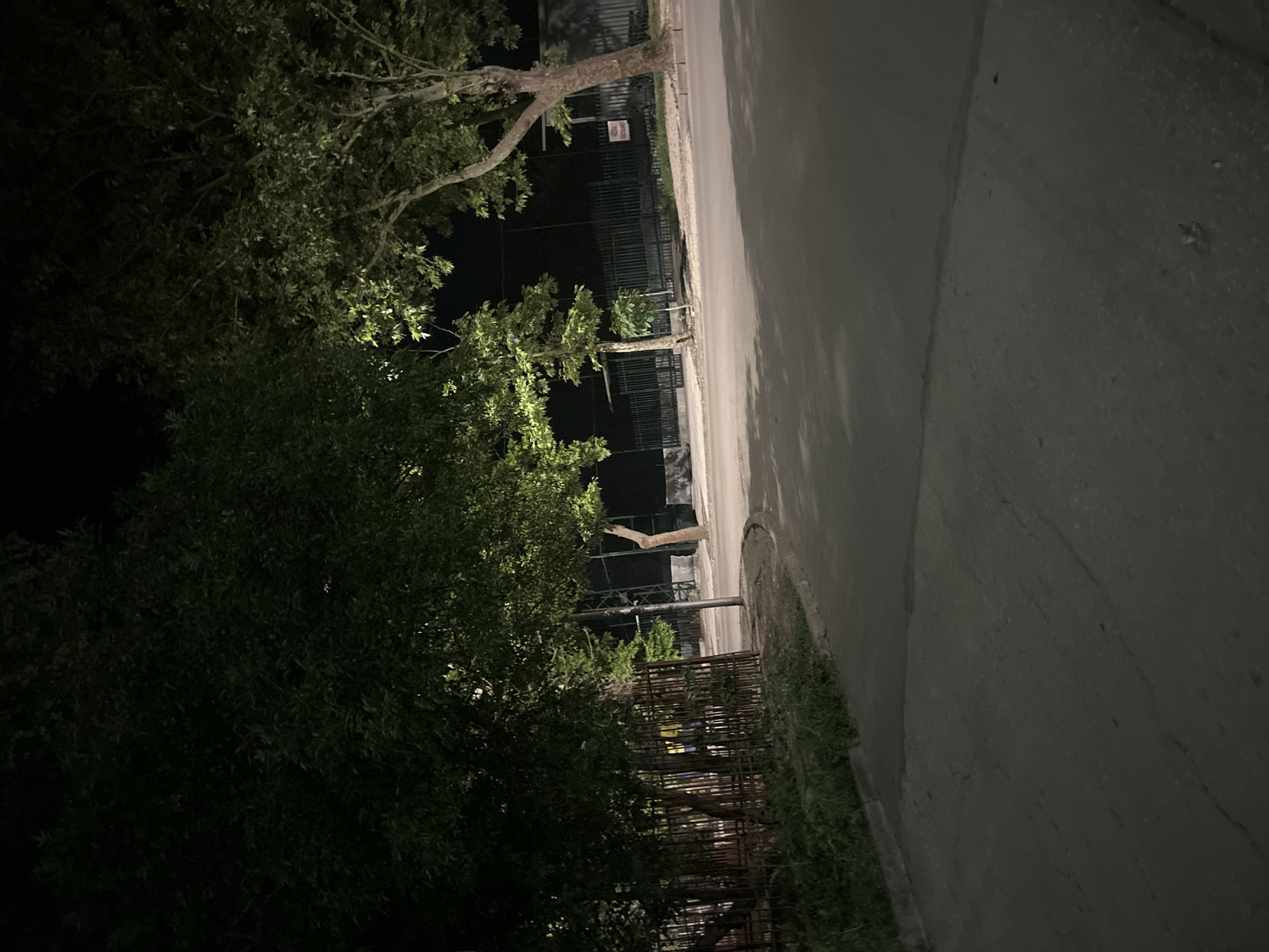 This is a low-light, nighttime photograph of a paved road curving to the right, bordered by a grassy verge and a metal fence on the left, and a sidewalk with trees and a fence on the right. The area appears to be urban, possibly a park or residential street, given the presence of trees, a fence, and what looks like a sports court beyond the fence. Shadows from the trees are cast across the road. The scene is devoid of any human presence or activity.
