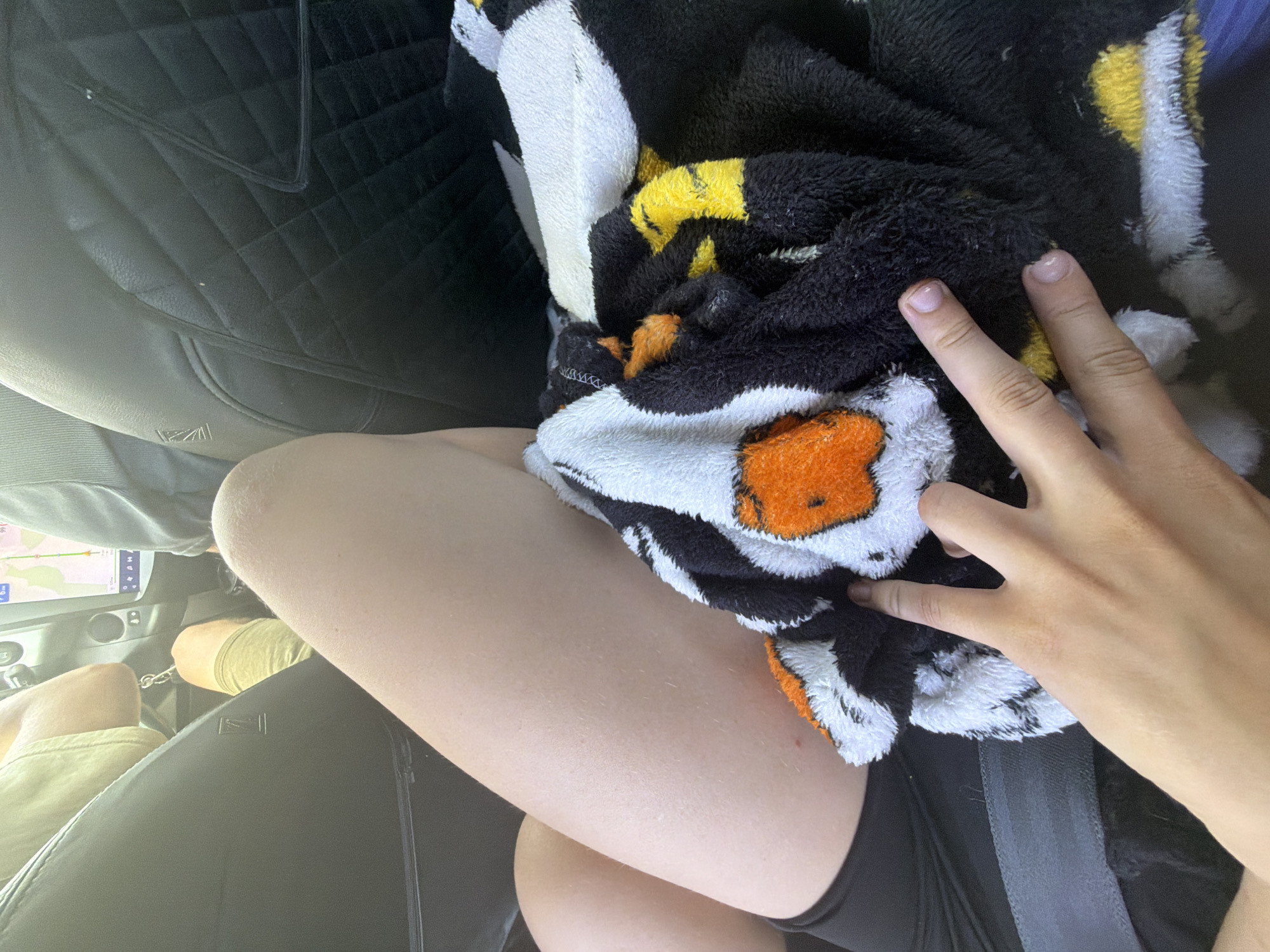 In the city of Proleika, Russia, a person's legs are visible in the foreground, one covered by a blanket with a penguin pattern. They are seated in the back of a car, evidenced by the quilted car seat and seatbelt. The driver, partially visible, is operating the vehicle, indicated by their hands on the steering wheel and the car's navigation system displayed on a screen. The setting appears to be daytime, with natural light filtering into the car.