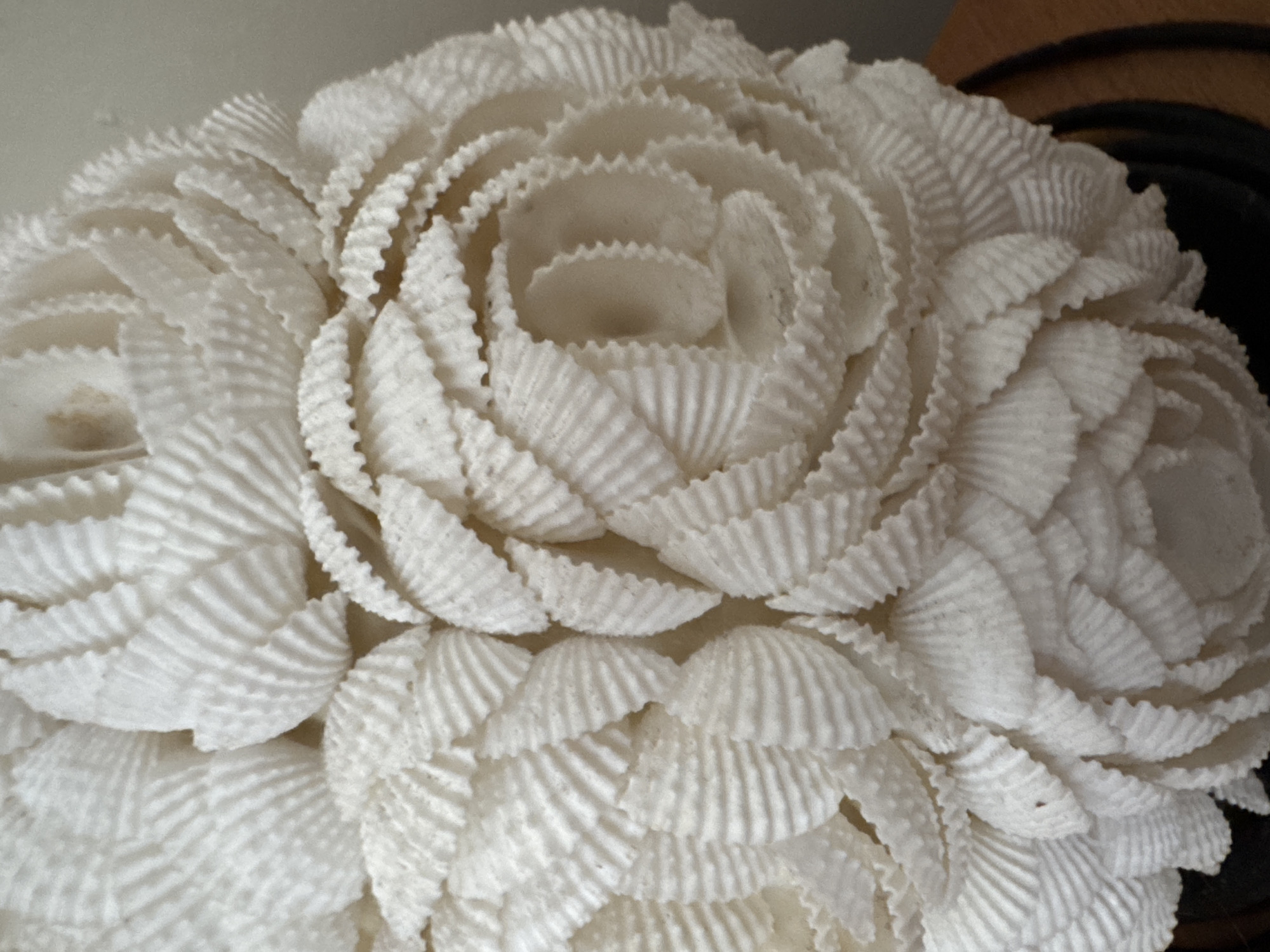 The image shows a close-up of a decorative object resembling a flower, possibly a rose, constructed from numerous small, white seashells. The shells are arranged in concentric layers, mimicking the structure of flower petals. The texture is ridged and patterned due to the natural features of the shells. The background is out of focus, with a hint of a dark object at the upper right. The location in Kuta Selatan, Indonesia is not evident from the image.