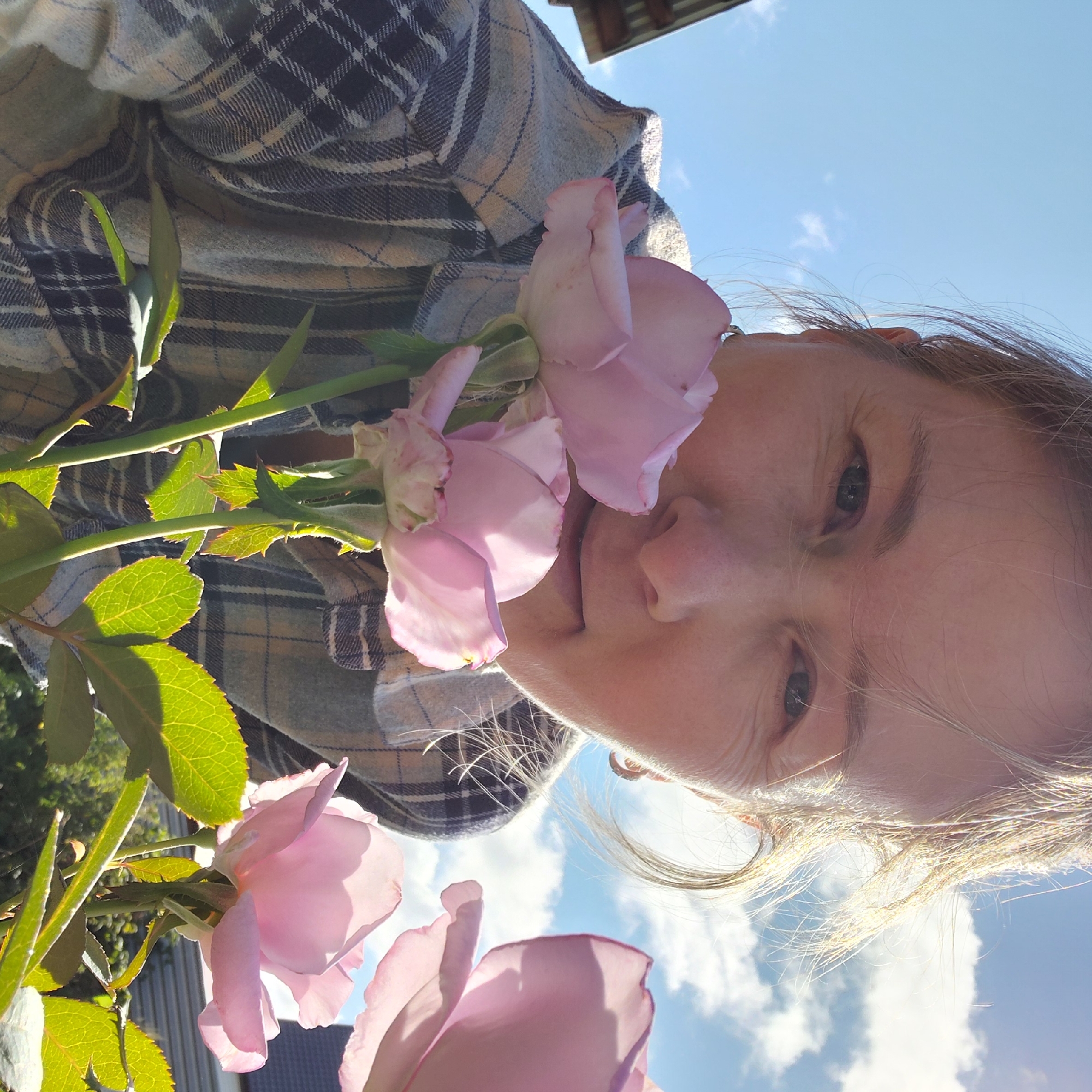 This is a close-up, low-angle, outdoor photograph of a woman holding pink roses in front of her face, with a bright blue sky and scattered clouds in the background. The woman appears to be in her 40s or 50s, with blonde hair that is partially windswept. She is wearing a plaid shirt. The roses are delicate and pink, with some showing slight wilting. Sunlight illuminates the roses and the woman's face, creating a soft, natural glow. The background includes hints of a building with a dark roof and some greenery, suggesting a residential or garden setting. The overall impression is one of a peaceful, natural moment. The image does not contain any specific landmarks or details that would allow for precise location identification within Novosibirsk, Russia.