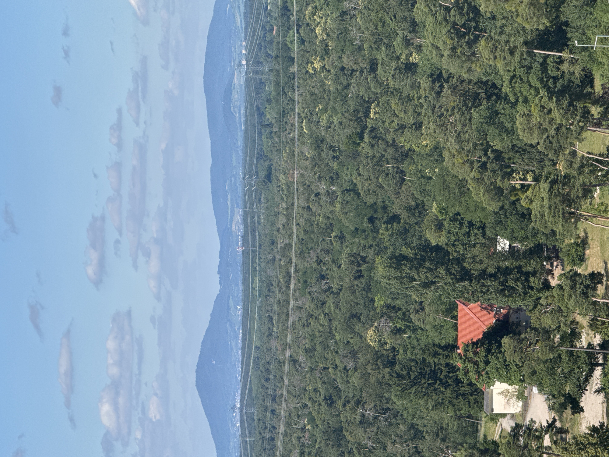 This is a wide-angle, high-angle shot of a densely wooded landscape with rolling hills and mountains in the distance, under a bright blue sky with scattered white clouds. In the foreground, a small complex of buildings is partially visible amidst the trees, including one structure with a bright red tiled roof. Power lines and transmission towers crisscross the middle ground, indicating infrastructure. The scene appears to be a natural or semi-natural area on the outskirts of Mannheim, Germany, possibly a nature reserve or a forested part of the city's periphery. There are no people visible in the image.