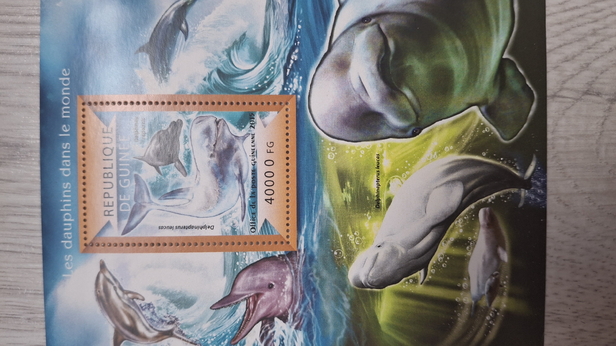 The image shows a stamp collection of dolphins. There are multiple dolphin images, one particularly large and green-tinged. The stamp itself reads "REPUBLIQUE DE GUINEE" and "Office de la POSTE GUINEENNE 2015", with a value of "4000 0 FG". The text "Les dauphins dans le monde" is also present. There is no indication of this image being in Pleven, Bulgaria.