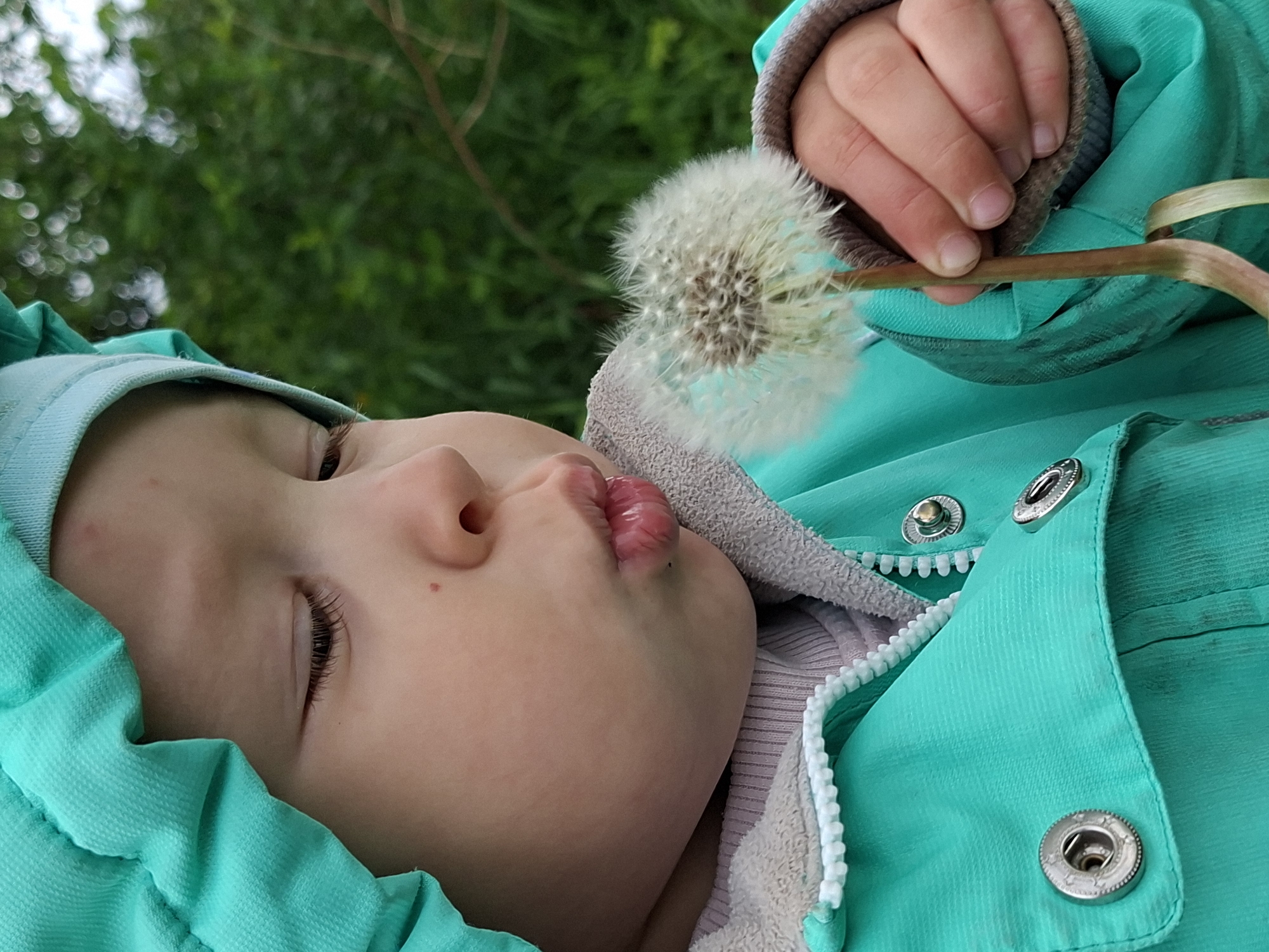 An outdoor, vertically oriented, medium close-up photograph captures a young child in the city of Unknown, Unknown, in the act of blowing on a dandelion seed head. The child's face is light-skinned, angled slightly to the right, with the eyes mostly closed and looking downward. Dark eyelashes are visible on the right eye (viewer's left). A small reddish mark is present on the forehead, and another tiny dark mark is on the right cheek. The child's lips are pursed into an "o" shape, indicative of blowing. The child wears a teal-colored hooded jacket with a grey fleece interior lining, visible at the collar and sleeve cuff. Beneath the jacket, a light purple ribbed top is visible. Silver-colored snap fasteners are evident on the jacket's front closure, along with a partial view of a white zipper. The child's left hand (viewer's right), with visible fingernails, holds the green-brown stem of a mature dandelion. The dandelion's fluffy, white, spherical seed head is fully intact and positioned directly in front of the child's mouth. The background is a heavily blurred field of green foliage, consistent with an outdoor natural environment.