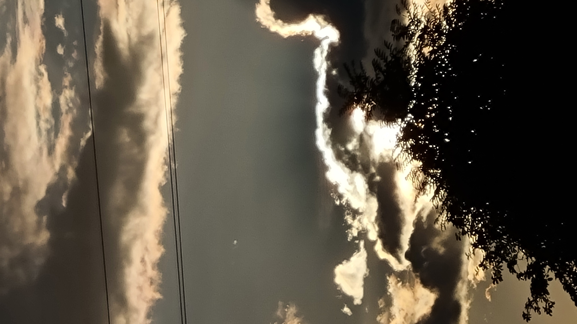 The image is a vertical, eye-level, outdoor shot of a cloudy sky with a silhouette of a tree in the foreground. The sky is filled with dramatic, dark gray clouds with bright, luminous edges where the sunlight is breaking through. Two thin, dark power lines stretch horizontally across the upper portion of the frame. The tree is densely leaved and completely black, obscuring the lower part of the image and reaching up towards the sky. The overall impression is one of a dramatic, possibly stormy, sky at dusk or dawn. The provided location of Vysokoe, Russia, does not offer specific context for the image itself, as it depicts a natural phenomenon visible from many locations.