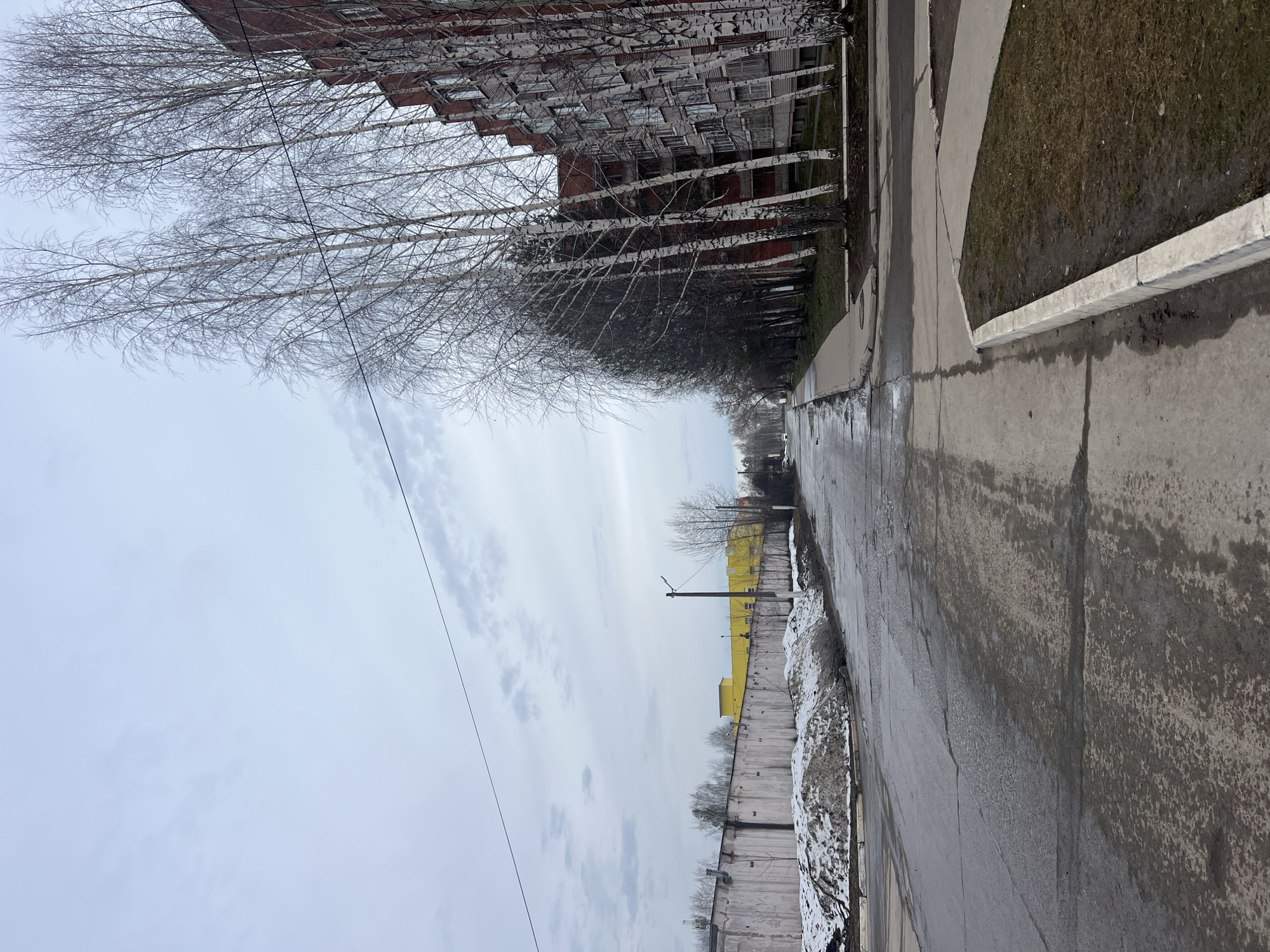 The image shows a street scene in what is likely Chaikovsky, Russia. Along the right side of the frame, a wet asphalt road is visible, bordered by a concrete curb and a narrow strip of grass. Adjacent to the road, a sidewalk runs parallel. On the left side, a multi-story brick building is lined with birch trees that are currently bare. Beyond the building and trees, the sky is overcast. In the distance, a yellow structure can be seen beyond a concrete fence. A power line stretches across the upper left portion of the image. There are no people visible.