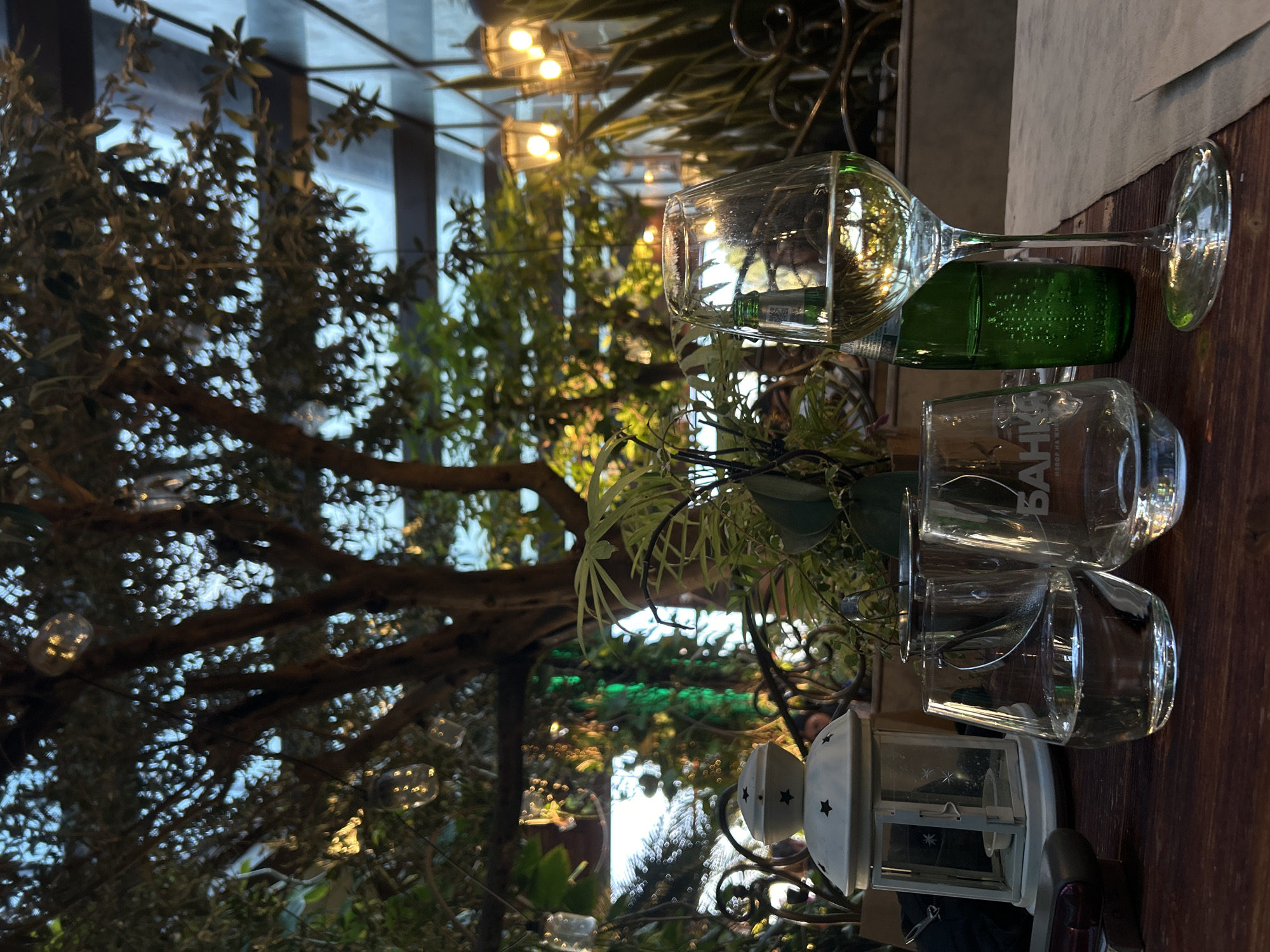 The image shows a wooden table setting with a wine glass, a green-tinted glass bottle, and two clear drinking glasses, one bearing the Cyrillic inscription "БАНКИ." Adjacent to the glasses is a decorative white lantern with star-shaped cutouts. The table is set against a backdrop of greenery, including a tree with small lights strung through its branches. The setting is indoors, possibly a restaurant or cafe, with a large window visible in the background. The ambient lighting suggests either late afternoon or evening. The angle of the image is slightly tilted. The location is Sofia, Bulgaria.