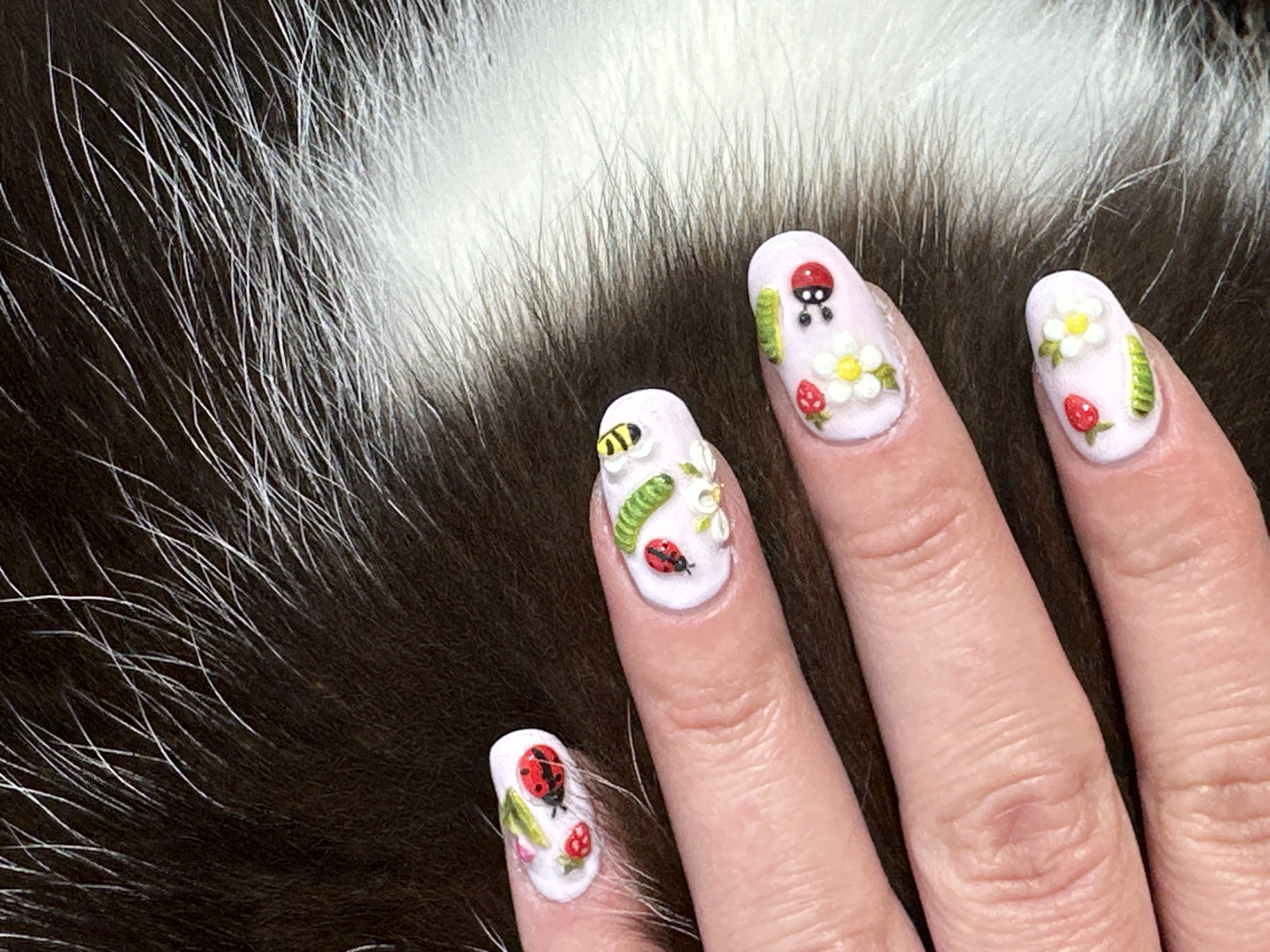 The image shows a close-up of a person's fingers with intricately decorated fingernails. Each nail features a pink base with 3D embellishments of various garden insects and fruits. One nail has a ladybug and two strawberries. Another nail displays a ladybug, a green caterpillar, and white flowers. A third nail has a bee, a ladybug, and green leaves. The fingernails are resting on a dark, furry surface with white accents, likely the fur of an animal. The setting is an indoor environment. There is no information in the image that can be used to determine the location in Moortown, Ireland.