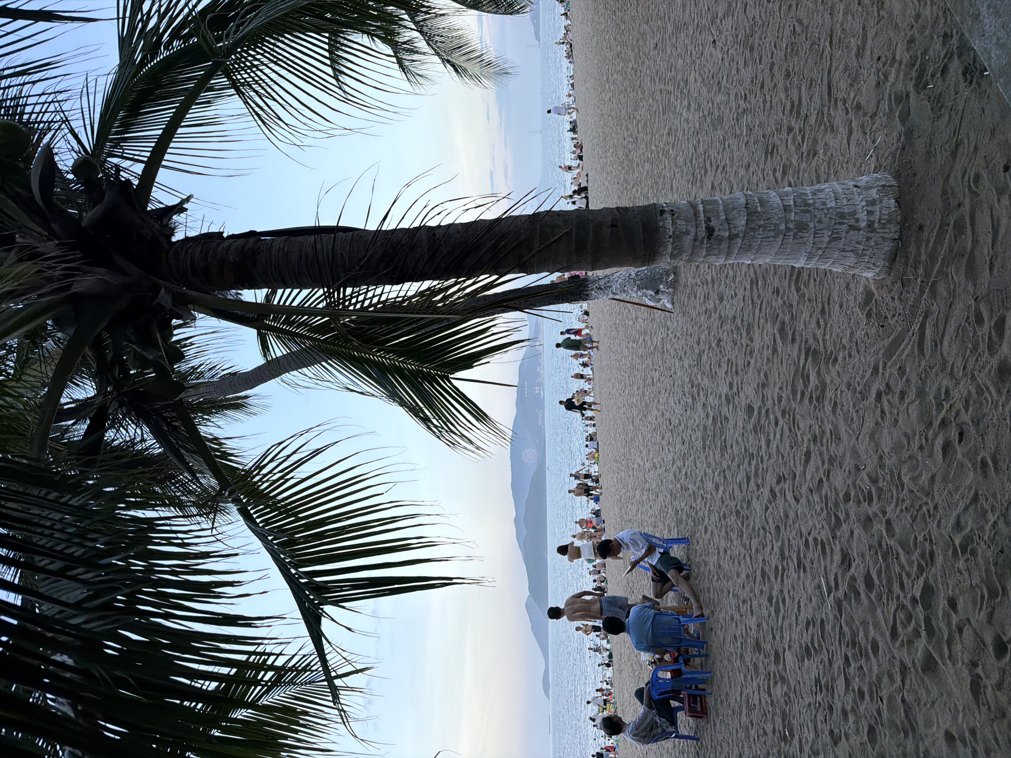 This image depicts a busy beach scene in Nha Trang, Vietnam, likely along Tran Phu Beach, known for its palm-lined promenade and vibrant atmosphere. The foreground is dominated by the textured sand and the base of a large palm tree, its trunk showing characteristic rings and painted white at the bottom. To the left, a group of four men are seated around a small table on blue plastic chairs. Three of the men are looking down, possibly engaged in conversation or using their phones. One man is seated facing the viewer, wearing a light-colored shirt and dark shorts, holding a mobile device. Another man to his left wears a blue shirt and appears to be interacting with the man in the light shirt. A third man, on the far left, is wearing a striped shirt.
Beyond this seating area, the sandy beach stretches towards the ocean, populated with numerous people. Some are walking, others are sitting, and many are wading or swimming in the calm, blue water. The sea is dotted with various boats and the distant shoreline features a chain of hilly islands shrouded in a light haze. The sky is a soft, pale blue, suggesting it might be late afternoon or early evening. The overall impression is one of a lively, public space where locals and tourists alike are enjoying a relaxing day by the sea.