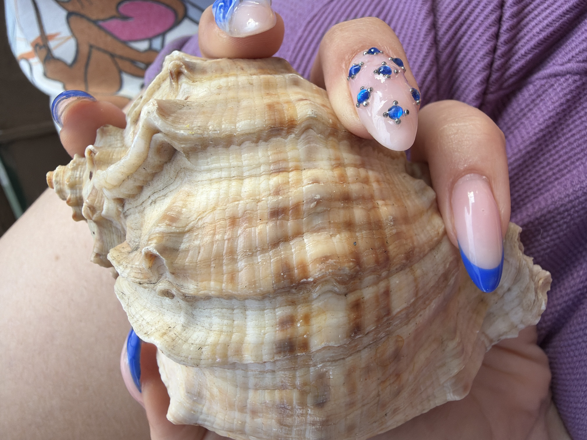 An extreme close-up shot focuses on a person's hands holding a large, textured seashell. The seashell displays prominent ridges and a light brown and cream color palette. The person's fingernails are elaborately decorated. One hand features French manicured nails with blue tips and what appear to be small, blue rhinestones or gems embedded on a light pink base. The other hand has a blue French manicure. The background is softly blurred, revealing a hint of skin and a textured purple fabric. The image does not provide any information about the city of Pazardzhik, Bulgaria.