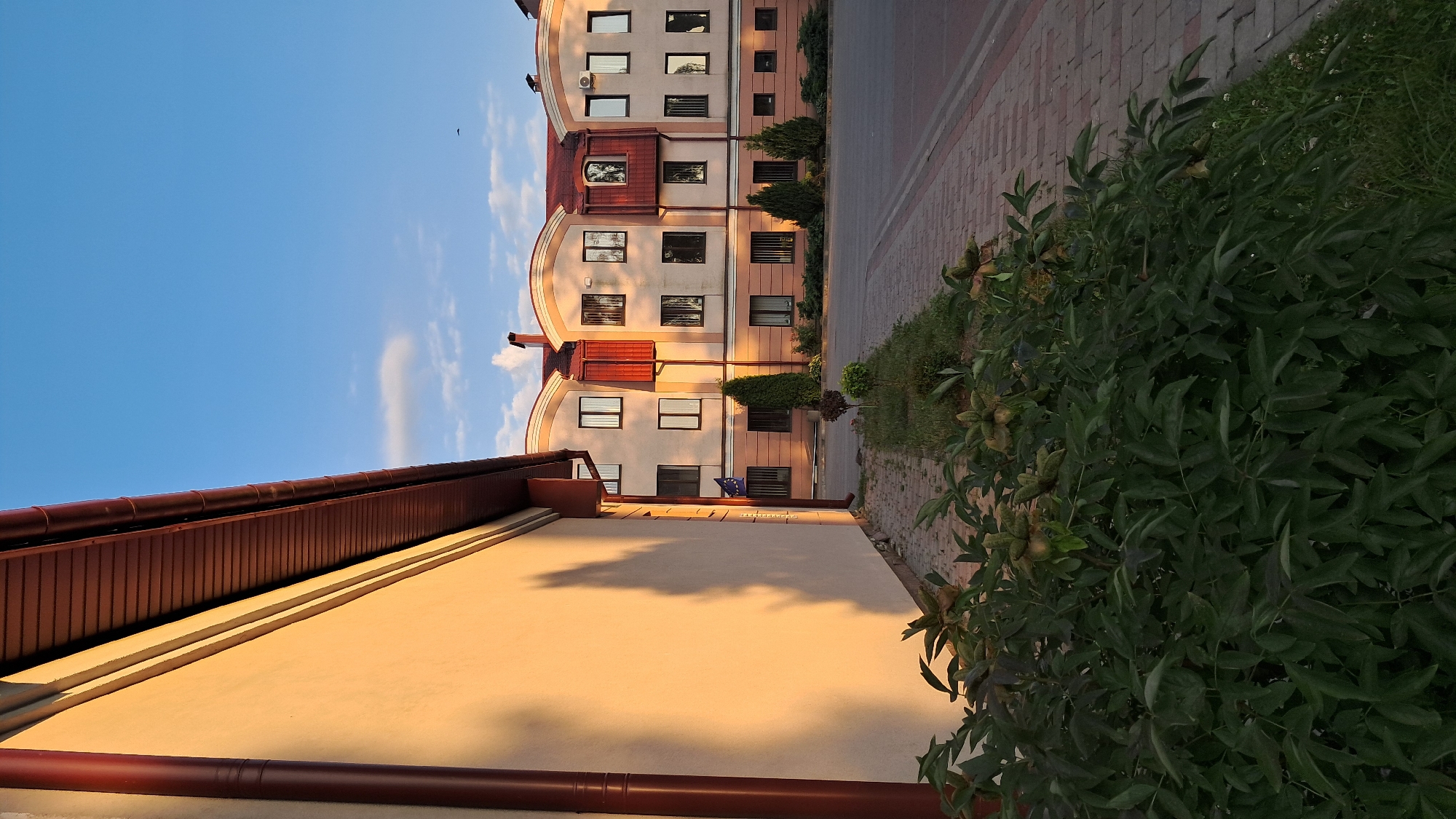 A sunlit building with a light beige facade and a reddish-brown roof stands adjacent to a paved walkway. The building features multiple arched sections along its roofline, with windows of varying sizes and shapes. A dark red downspout runs along the left side of the building, and a shadow of what appears to be foliage is cast upon the facade. In the foreground, a dense green bush with seed pods is visible. A clear blue sky with a few scattered clouds is present in the background.