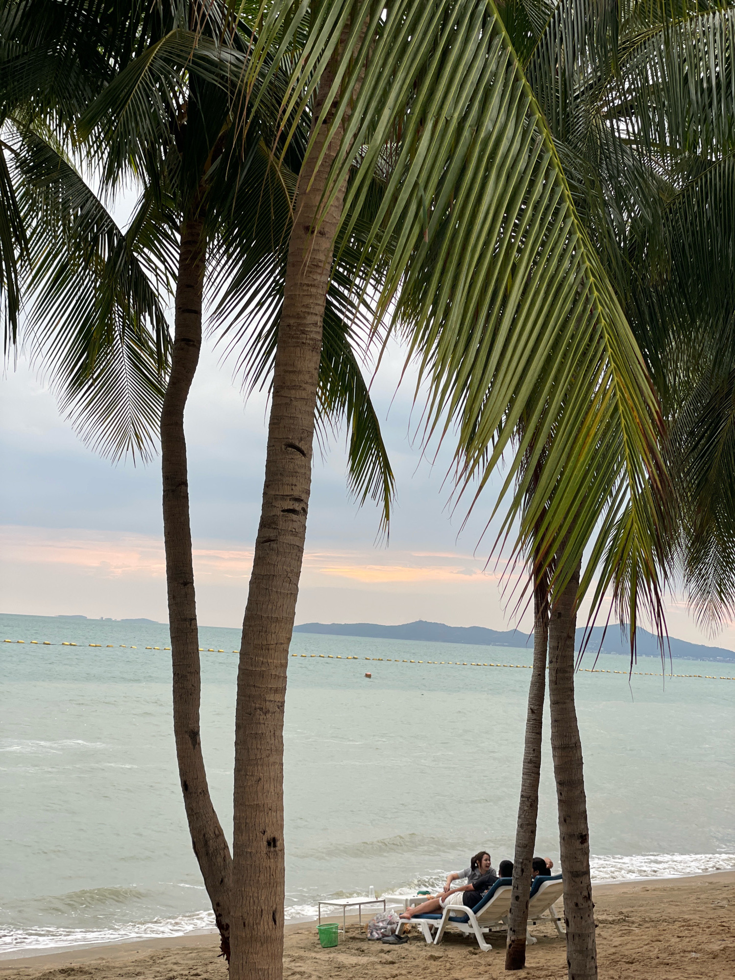 This image depicts a beach scene in Pattaya City, Thailand. In the foreground, several palm trees with thick, textured trunks and lush green fronds dominate the frame. Behind the palm trees, the ocean is visible with calm, light-blue water. A shoreline with sandy beach separates the water from the vegetation. Further out in the water, a series of yellow buoys are strung together, marking a boundary. In the distance, a hazy shoreline with hills is visible under a cloudy sky with hints of pastel colors near the horizon, suggesting either dawn or dusk. On the beach, two people are seated in white lounge chairs, facing the ocean. One person is lying down while the other is sitting up. They appear relaxed and are engaging in conversation. A small green trash bin is placed near the lounge chairs, along with some items on a small table. The overall atmosphere is tranquil and relaxed, characteristic of a beach resort.