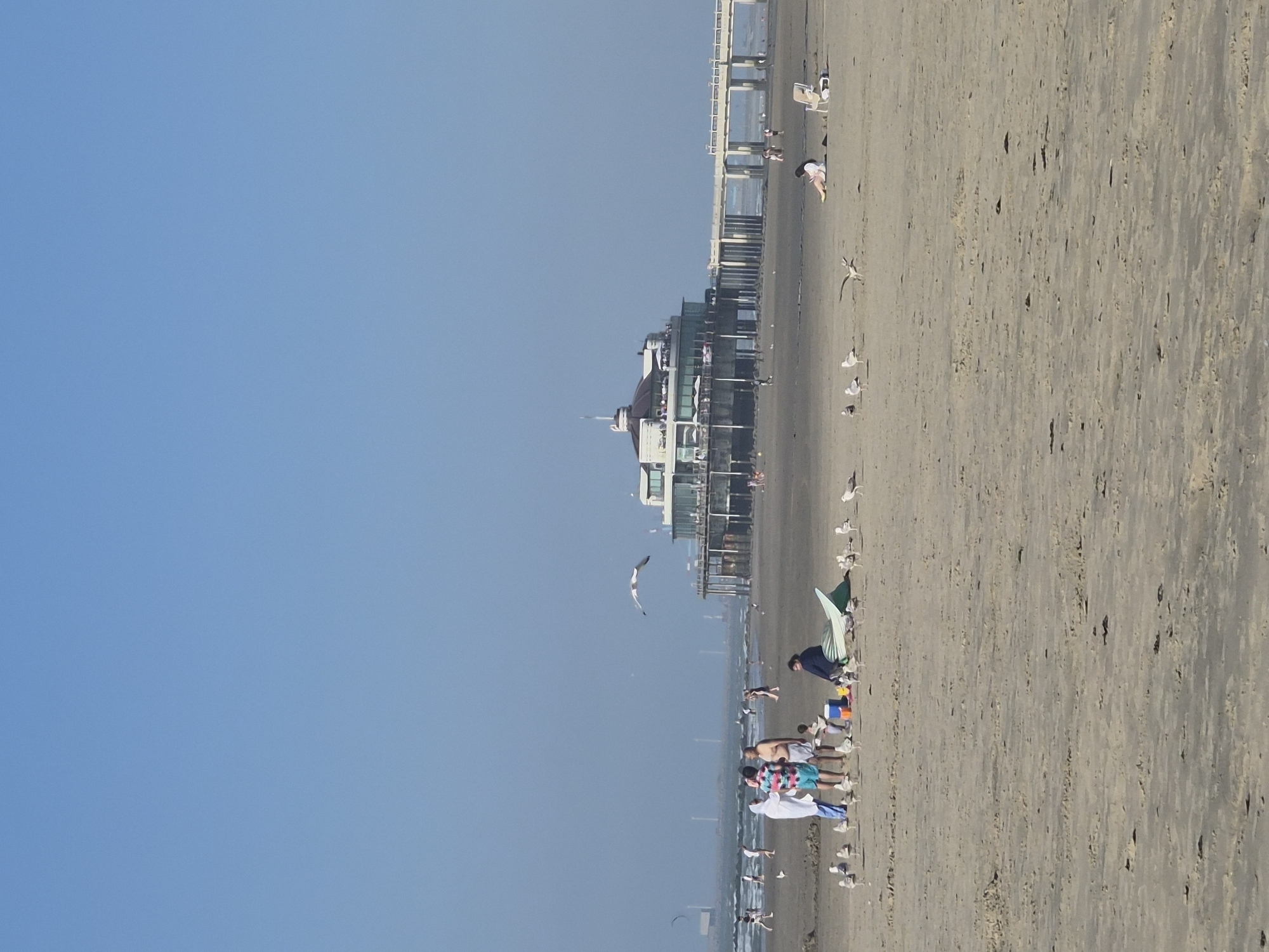 The image depicts a clear, sunny day at the beach in Blankenberge, Belgium. In the background, a distinctive pier with a circular building at its end extends over the water. The pier is supported by numerous wooden pilings. The beach is sandy, with some areas showing ripples from the receding tide.
In the mid-ground, several people are present. On the left, a group of four individuals stands together; one person is wearing a white hooded garment and blue pants, another a colorful patterned shirt and blue shorts, and two others are in swim trunks. Nearby, a child is seated. A green object, possibly a surfboard or boat, lies on the sand. Numerous seagulls are scattered across the beach, with one in mid-flight.
Further to the right in the mid-ground, a woman is sitting on the sand next to a beach chair and a bag. In the distance, other people are walking along the beach and near the water. The sea is visible behind the pier, and the sky is a clear, bright blue. Several wind turbines are visible on the horizon in the far distance.