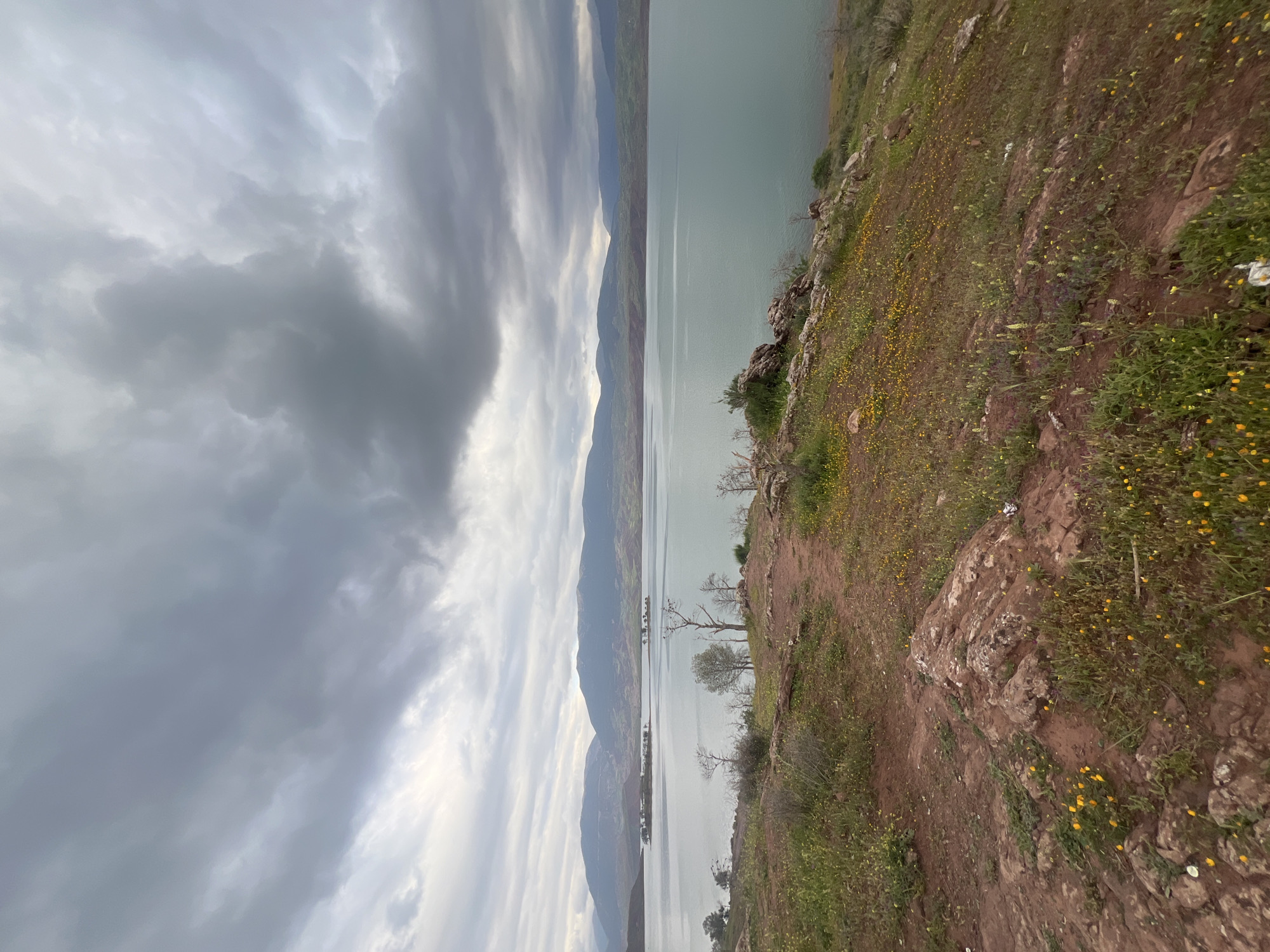 A landscape shows a lake surrounded by mountains under a cloudy sky, observed from a grassy, wildflower-strewn bank. The water is pale green, reflecting the sky. The location appears to be the city of Bin El Ouidane in Morocco.