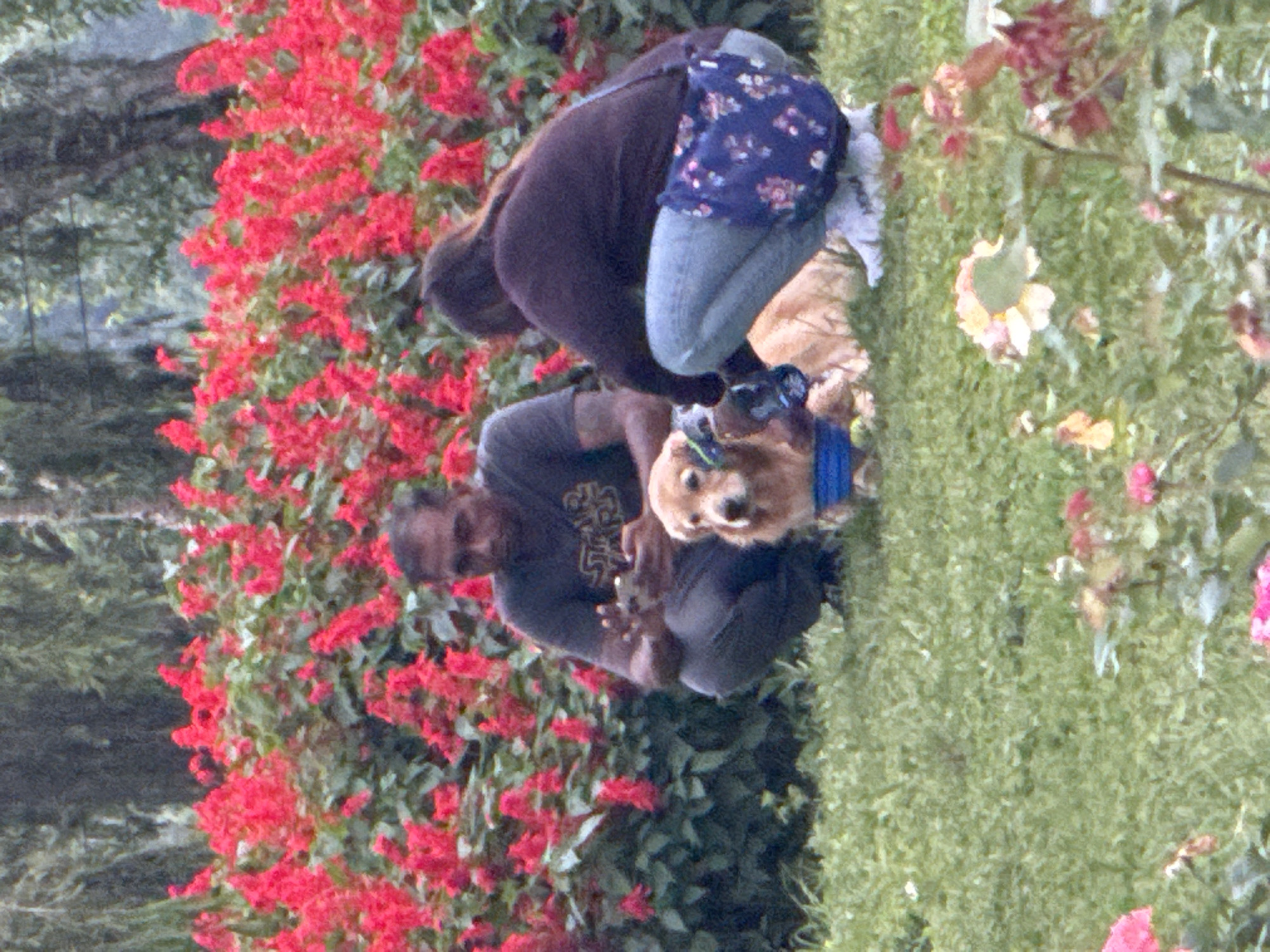 This image depicts a park scene in Phường Xuân Hương - Đà Lạt, Vietnam. In the foreground, a golden retriever dog with a blue collar is sitting on green grass. To the left of the dog, a man wearing a dark t-shirt with a "Star Wars" logo and grey pants is kneeling and looking at his phone. To the right of the dog, a person wearing a dark sweater and light blue jeans is also kneeling. The person is holding a dark object and is positioned close to the dog. Behind the people and the dog, there is a dense bed of vibrant red flowers, with some greenery interspersed. In the background, trees are visible, creating a natural, outdoor setting. The lighting suggests it is daytime.