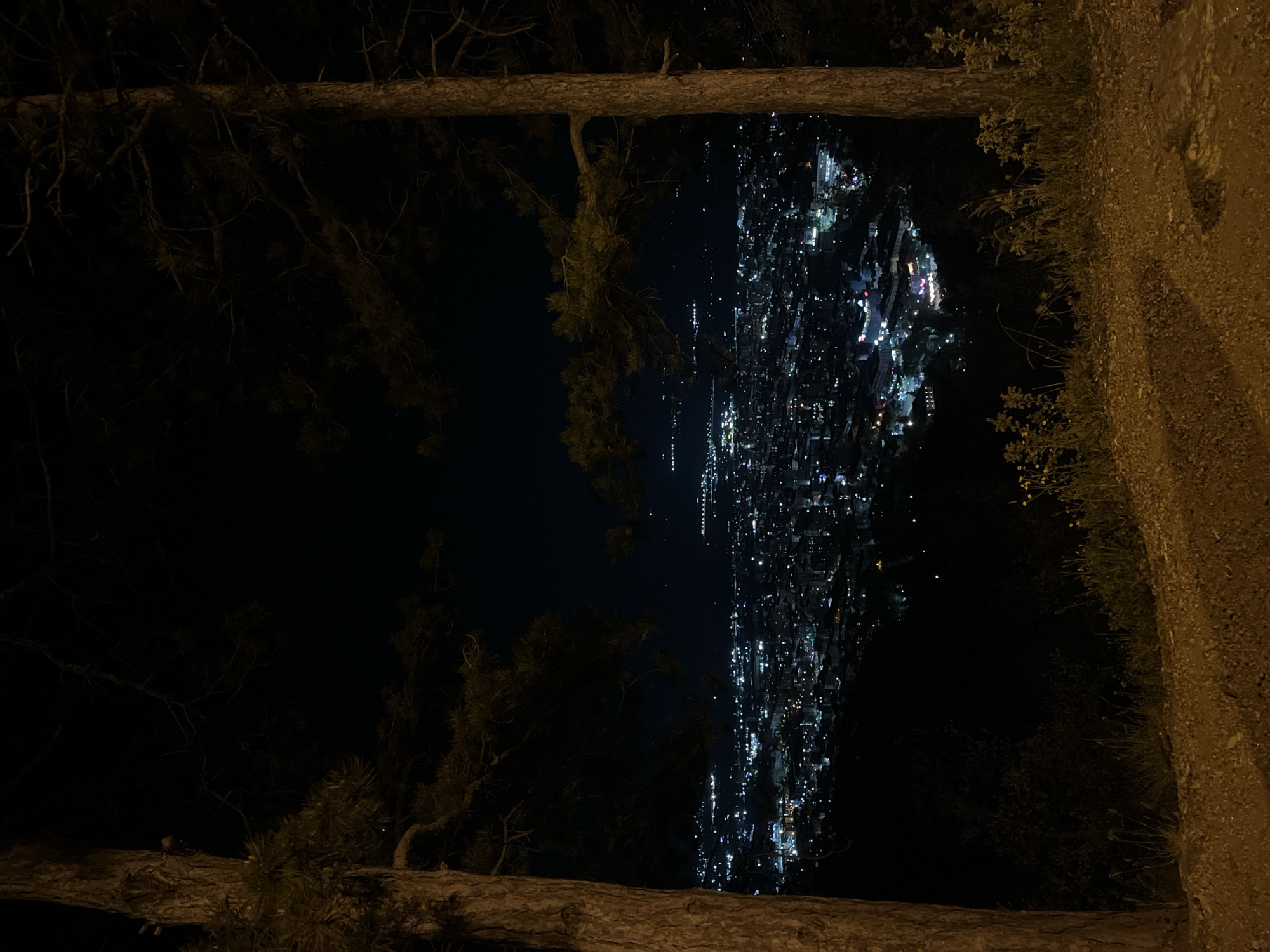 A nighttime photograph captures a cityscape, presumably of Blagoevgrad, Bulgaria, viewed from an elevated position amidst natural elements. The city lights twinkle below, while the foreground is framed by tree branches and foliage, creating a natural border on either side. The right edge of the frame reveals a dirt or rocky embankment, suggesting a hillside vantage point. The scene is dimly lit, with the primary illumination coming from the city lights and perhaps a faint glow from the night sky. The overall composition is a blend of urban and natural landscapes, showcasing the city from a scenic overlook.