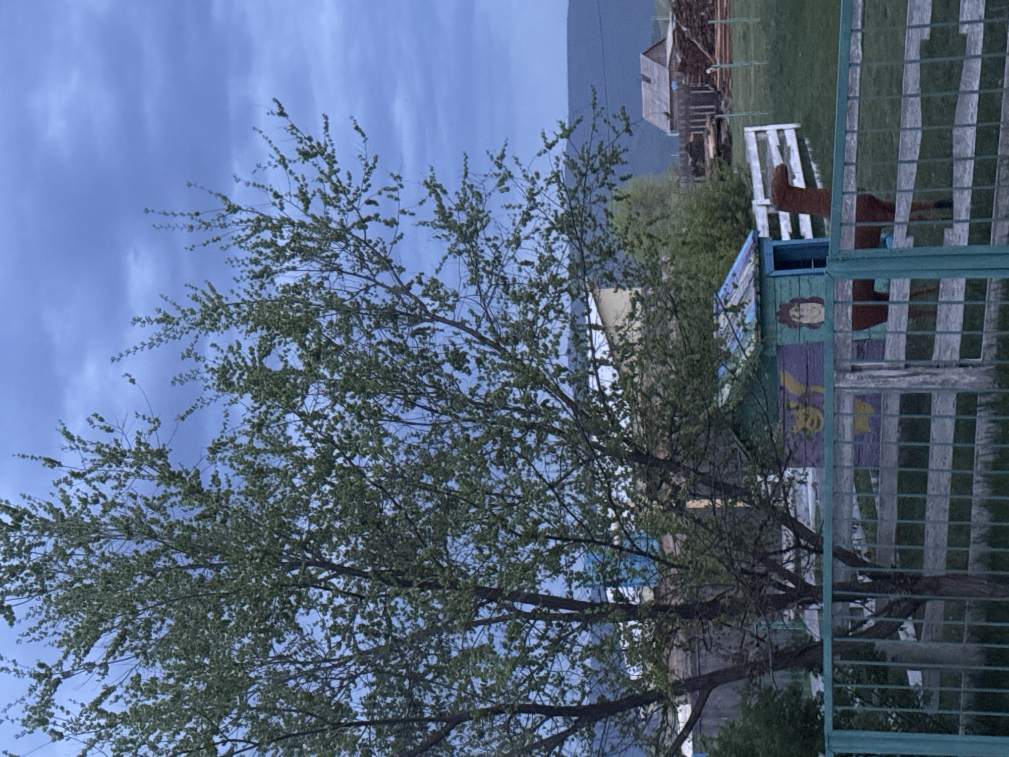 The image shows a partly cloudy sky above a scene in Нижний Бургалтай, Russia. A tree with sparse green leaves fills the foreground. Behind the tree is a fenced structure with a small brown animal figure visible within it. Next to the fence is a blue and purple painted structure. A field, some buildings, and a mountain are visible in the background.