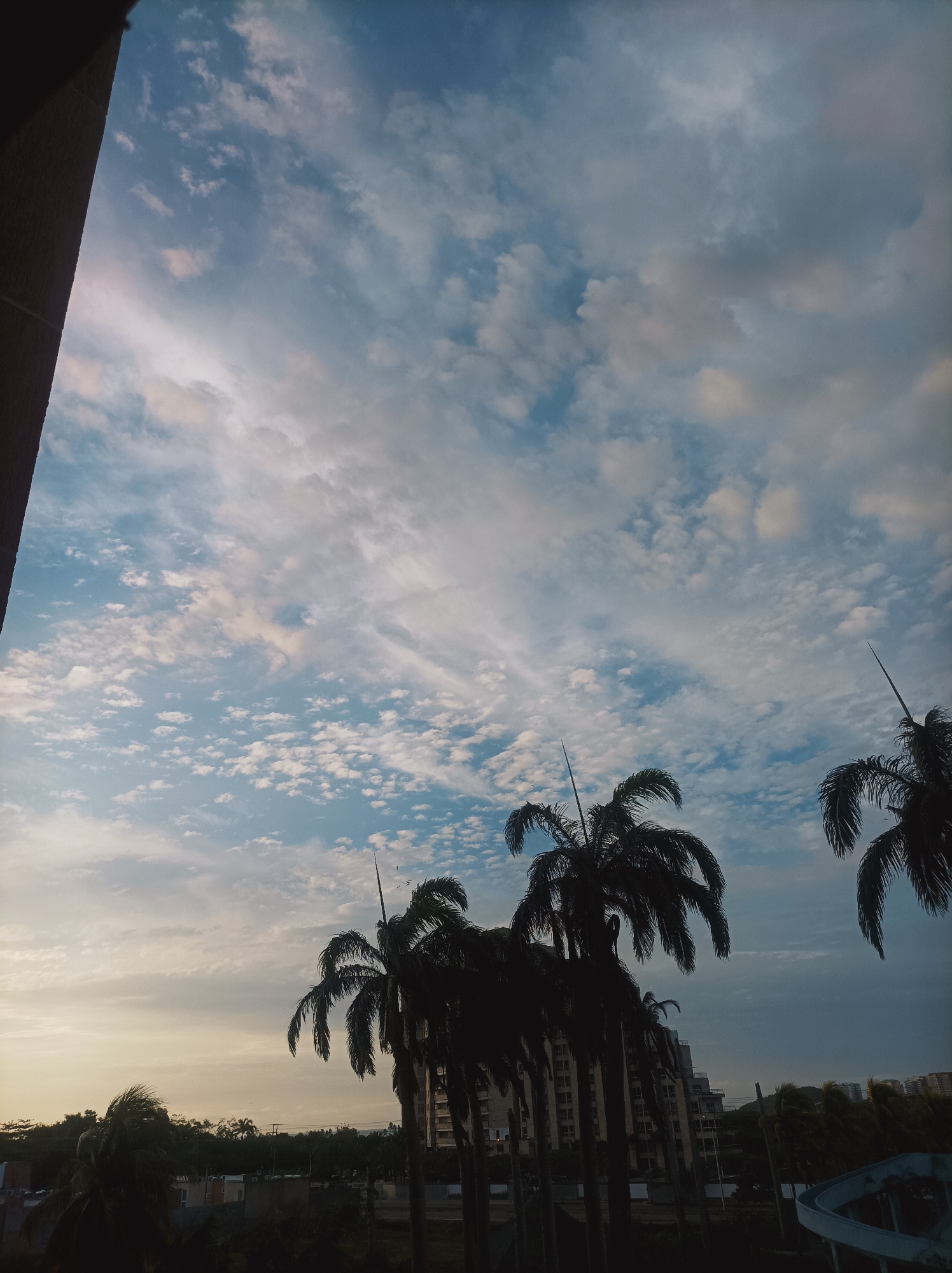 The image presents a serene outdoor scene over Porlamar, Venezuela, likely captured during late afternoon or early evening. The expansive sky dominates the upper portion of the frame, displaying a dynamic mix of light blue areas and various cloud formations. Scattered white, fluffy clouds, resembling cirrocumulus or altocumulus, are prevalent in the central and left parts of the sky, gradually transitioning to larger, more uniform grey clouds towards the upper right and lower left. A soft, warm, yellowish glow is visible near the horizon on the left, indicative of the setting or rising sun.
In the mid-ground and foreground, several tall palm trees are prominently silhouetted against the bright sky, their dark fronds creating a strong contrast. A few tiny specks, possibly birds, can be seen in the sky near the palms. Behind the trees, several multi-story buildings are also visible as dark outlines, suggesting an urban or residential environment. Beyond these structures, a line of dense green vegetation forms the distant horizon. On the far left, a dark, angled architectural element, likely a part of a building or balcony, partially frames the shot. In the lower right corner, a light-colored, curved structure, possibly a water slide or a recreational feature, is partially visible. The scene is devoid of people or specific activities, conveying a tranquil and expansive tropical vista. No visible text is present.