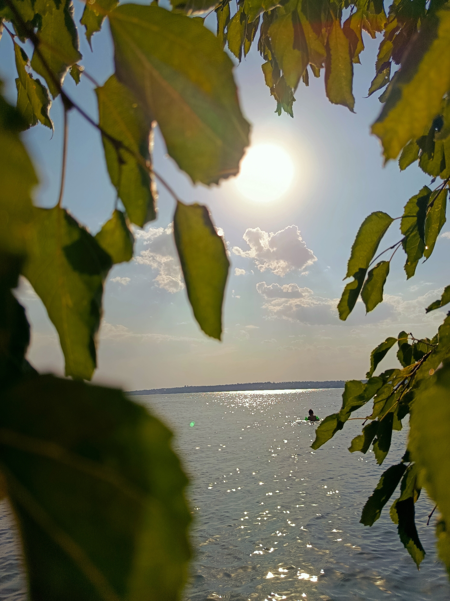 The image depicts a sun-drenched lake scene, framed by the leaves of a tree in the foreground. The sun is positioned high in the sky, casting a bright glare on the water's surface, which is rippled by a gentle breeze. A single person, dressed in a green flotation device, is visible in the middle distance, swimming in the lake. The background shows a hazy shoreline with a distant, indistinct cityscape. The sky is a clear blue, punctuated by scattered, fluffy white clouds. The overall impression is one of a tranquil summer day by the water.
