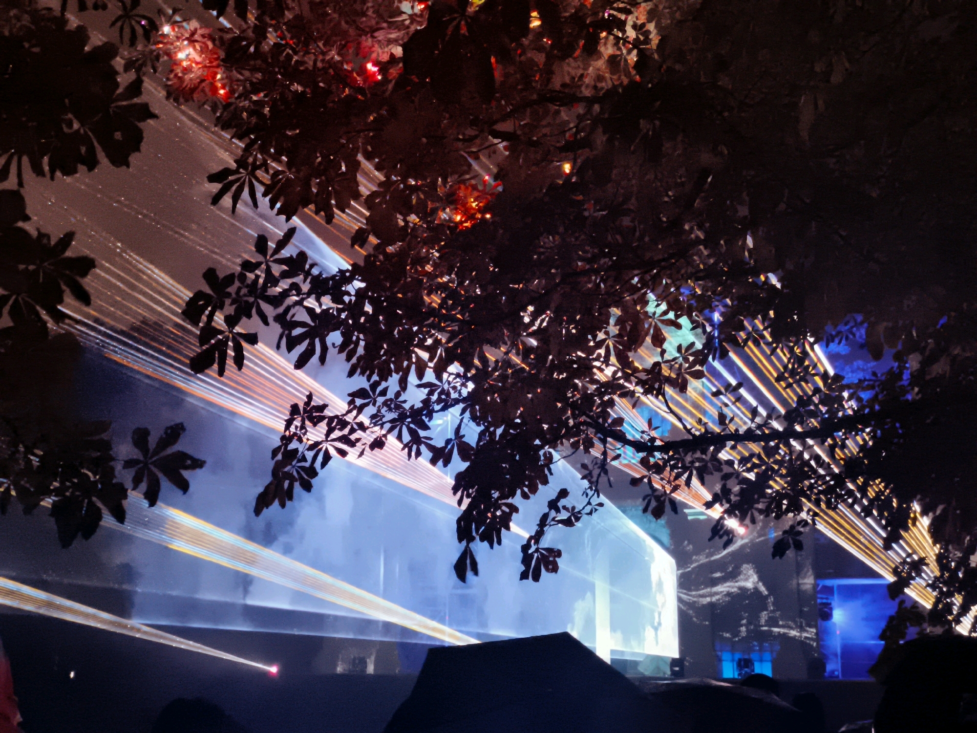 The image depicts a scene at night, possibly during an outdoor event or festival, featuring vibrant light projections and silhouettes of foliage. Laser-like beams of light, in shades of blue, orange, and white, emanate from unseen sources and stretch across the frame, creating a dynamic and energetic atmosphere. These lights illuminate a hazy background, suggesting a large venue or a foggy environment.
In the foreground, dark silhouettes of tree branches and leaves obscure parts of the light display. Some of these leaves are illuminated from behind by the colored lights, revealing hints of red and orange hues. The foliage suggests the event is taking place in an outdoor setting, possibly a park or a natural landscape within a city.
At the bottom of the image, dark, indistinct shapes suggest the presence of people or structures, likely forming a crowd or stage elements. A single, bright red light spot is visible near the lower left, adding another point of focus to the scene.
The overall impression is one of a visually stimulating, nocturnal event, characterized by the interplay of natural elements and artificial light. The specific location in Tallinn, Estonia, is not explicitly identifiable from the visual cues alone, but the scene evokes the atmosphere of a lively urban gathering.