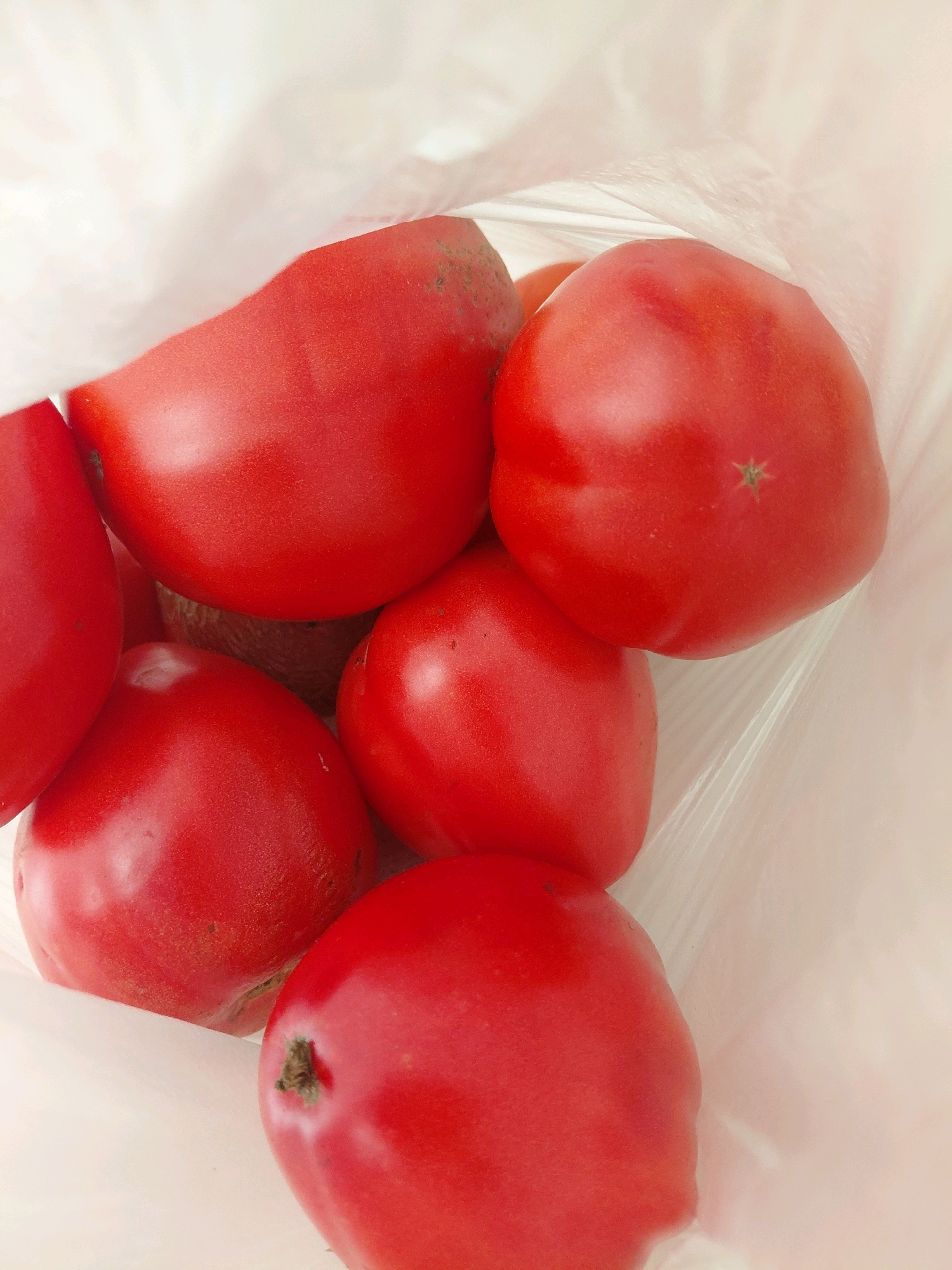 A close-up, high-angle shot shows several ripe red tomatoes in a translucent white plastic bag. The bag is mostly out of focus, creating a shallow depth of field that emphasizes the tomatoes. The tomatoes are various sizes and shapes, with some showing slight blemishes or imperfections. The lighting is soft and diffused, with no harsh shadows. The background is white and uniform. The image does not depict any specific location in Malinovka, Russia, or any people or actions.