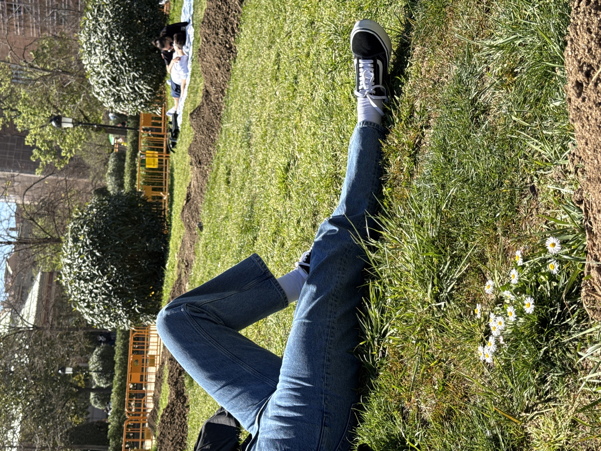 A medium shot captures a person reclining on a grassy lawn in a Barcelona park. The individual wears light-wash denim jeans, white socks, and a black and white Van's sneaker. A cluster of white daisies dots the grass nearby. In the background, other park visitors relax on a blanket near a row of newly planted shrubs bordered by low, yellow metal fencing. The park features mature trees and a vintage-style lamppost, with a building visible in the distance. The scene conveys a relaxed, sunny ambiance.