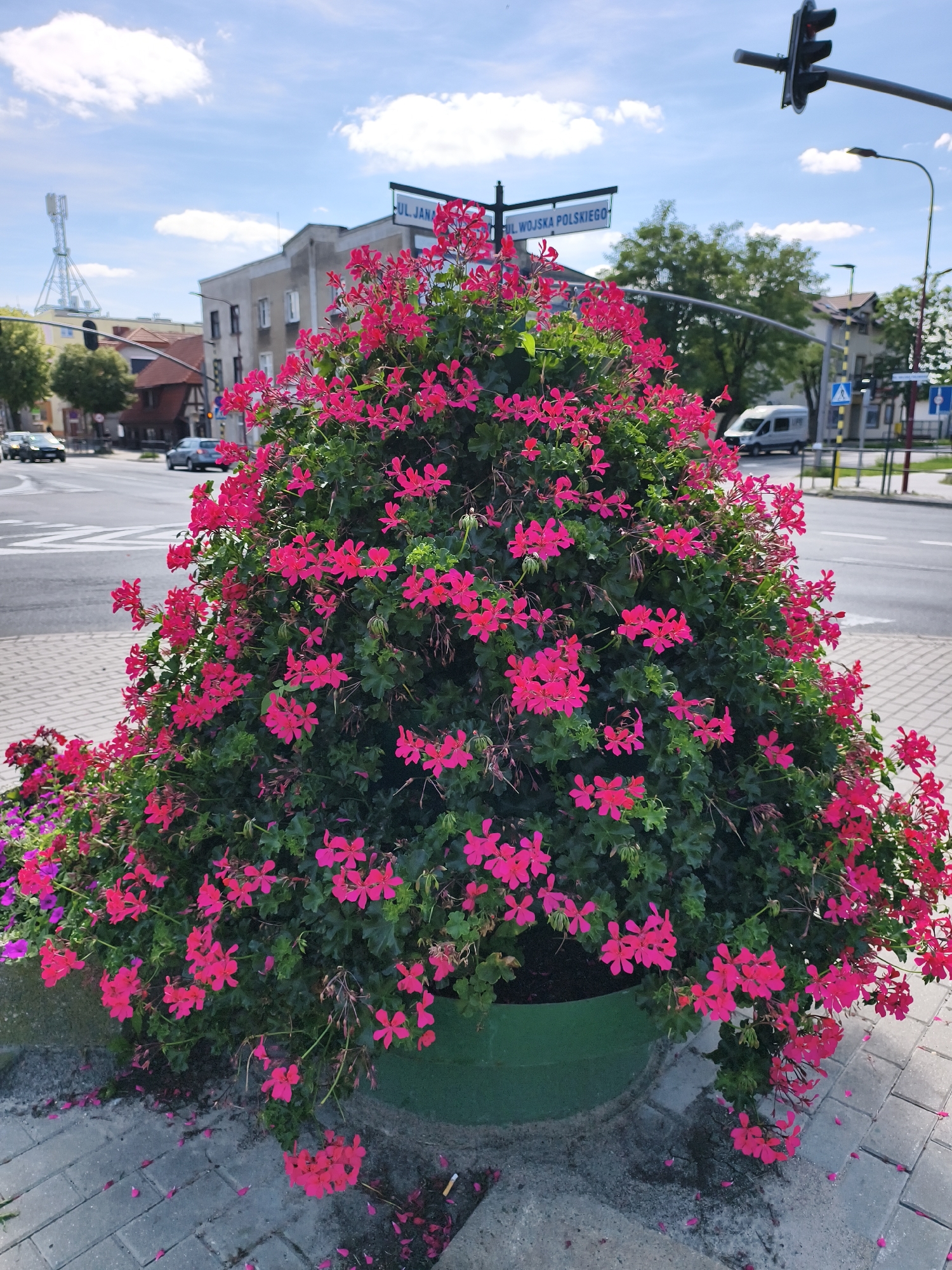 A large, conical planter overflowing with bright pink geraniums is positioned at a city intersection. The planter is green and sits on a paved area with scattered flower petals. Behind the planter, a street with two lanes of traffic is visible, with cars driving in the distance. Traffic lights, street signs indicating "UL. JANA KOWALSKIEGO" and "WOJSKA POLSKIEGO", and buildings line the street. A white van is parked on the side of the road. A telecommunications tower is visible in the far distance. The sky is blue with scattered white clouds. The location is Tczew, Poland.