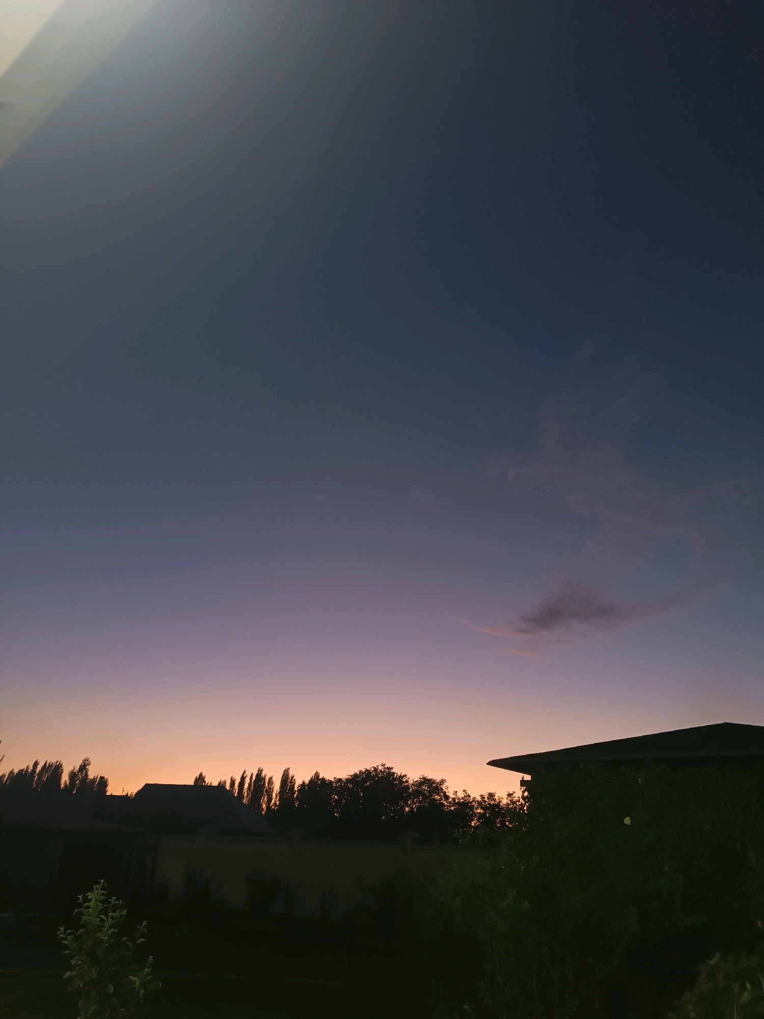 The image depicts a twilight sky over a residential area. The sky transitions from a deep blue at the top to shades of purple and orange near the horizon, indicating either sunrise or sunset. A single, wispy cloud is visible in the upper right quadrant of the sky. Silhouetted against the colorful sky are the tops of numerous tall, slender trees, characteristic of poplars, forming a dense line across the middle ground. In the foreground, the dark silhouettes of a building's roof and surrounding foliage are visible. The building appears to be a house with a dark roof, and its side is covered in dense vegetation, possibly ivy. A small, leafy plant is in the lower left foreground. The overall scene is calm and serene, suggesting a quiet evening or early morning in a suburban or rural setting. There are no people or animals visible in the image.
