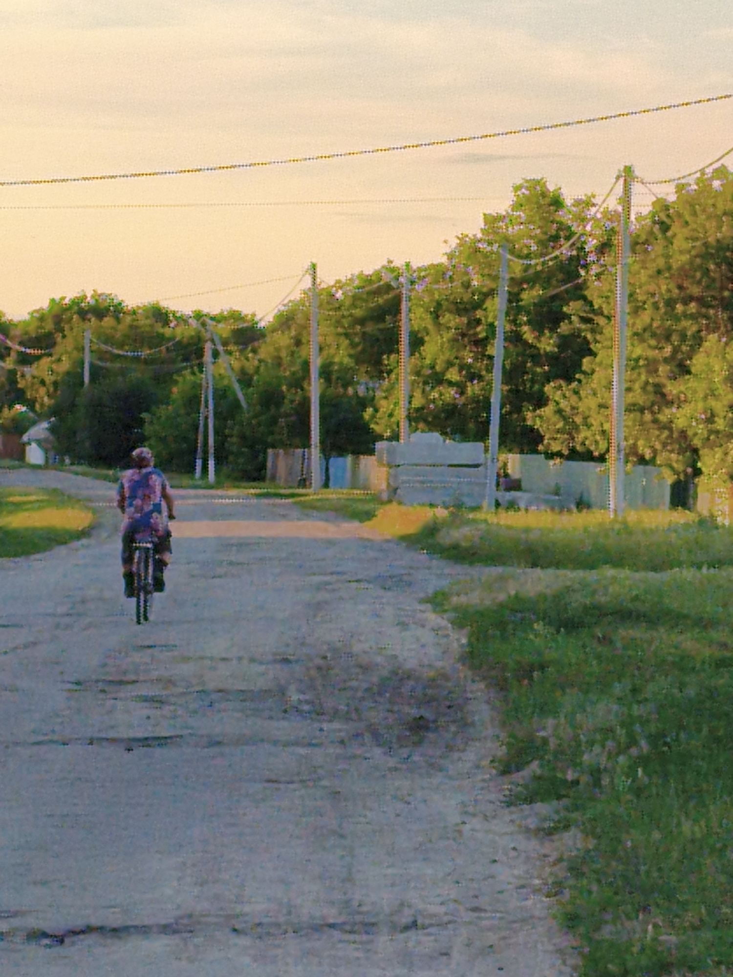 A person is riding a bicycle down a rural dirt road. The cyclist is wearing a brightly colored floral shirt and is seen from behind. The road is lined with green grass and trees, and there are power lines stretching across the sky. In the background, there are a few small buildings and fences, suggesting a village or rural settlement. The sky is a pale orange, indicating it is either sunrise or sunset. The overall mood of the image is peaceful and tranquil. No text is visible. The location is Ustyvytsia, Ukraine.