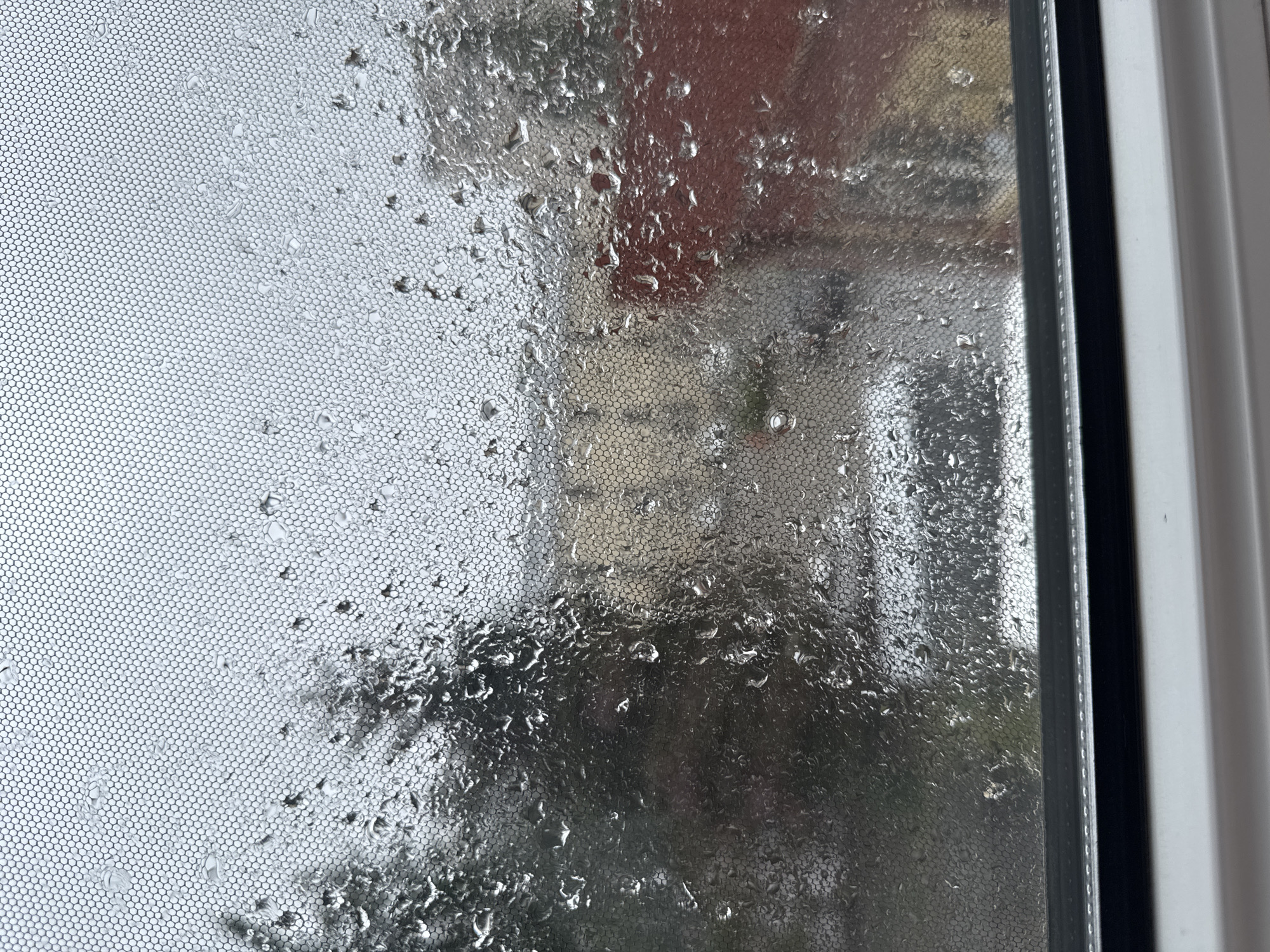This is a close-up, eye-level photograph taken through a window with a mesh screen, showing raindrops obscuring the view of an outdoor scene in Zielona Góra, Poland. The mesh screen, with its hexagonal pattern, is coated with numerous water droplets of varying sizes, some appearing as small beads, others as larger, elongated streaks. The droplets distort the background, creating a hazy and abstract effect.
Beyond the screen, the environment appears to be an urban setting, likely a residential or mixed-use area. A building with a yellow facade is visible in the mid-ground, its details blurred by the rain and screen. To the right, a section of a red brick building is discernible. In the foreground, there are suggestions of trees with dark foliage, also heavily affected by the water on the window. A grey vehicle, possibly a car, is partially visible in the lower-mid section of the frame, its form indistinct. The overall lighting suggests an overcast day, consistent with rainy weather. The bottom of the image shows a white window frame with a dark horizontal sealant strip. There are no people or animals directly visible in the scene.