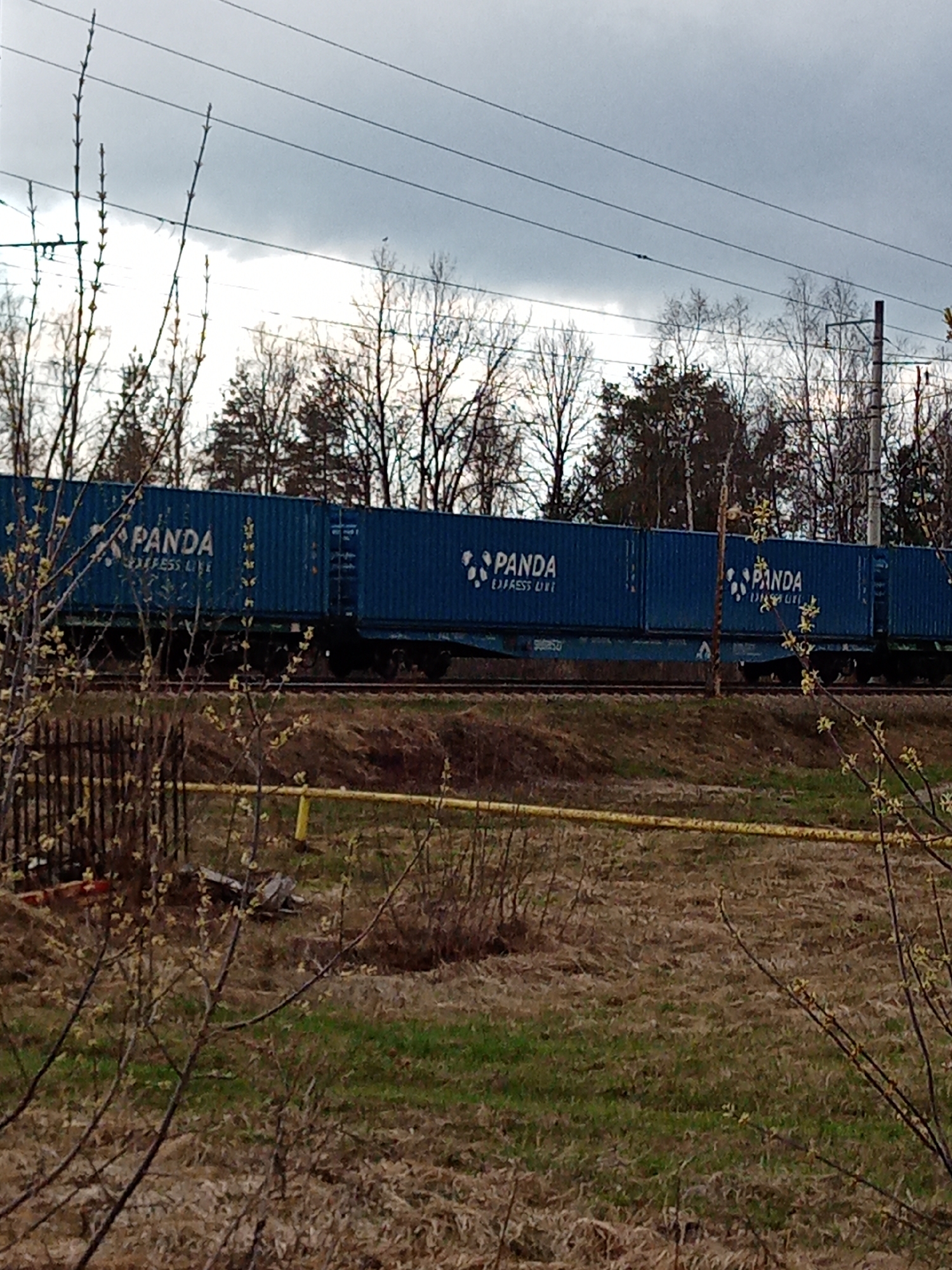 The image shows a train passing through Kriulino, Russia. The train cars are blue and labeled "PANDA EXPRESS LIFE." The surrounding environment includes a field with sparse vegetation, trees, and overhead power lines. A partial fence is visible in the foreground. The sky is overcast.
