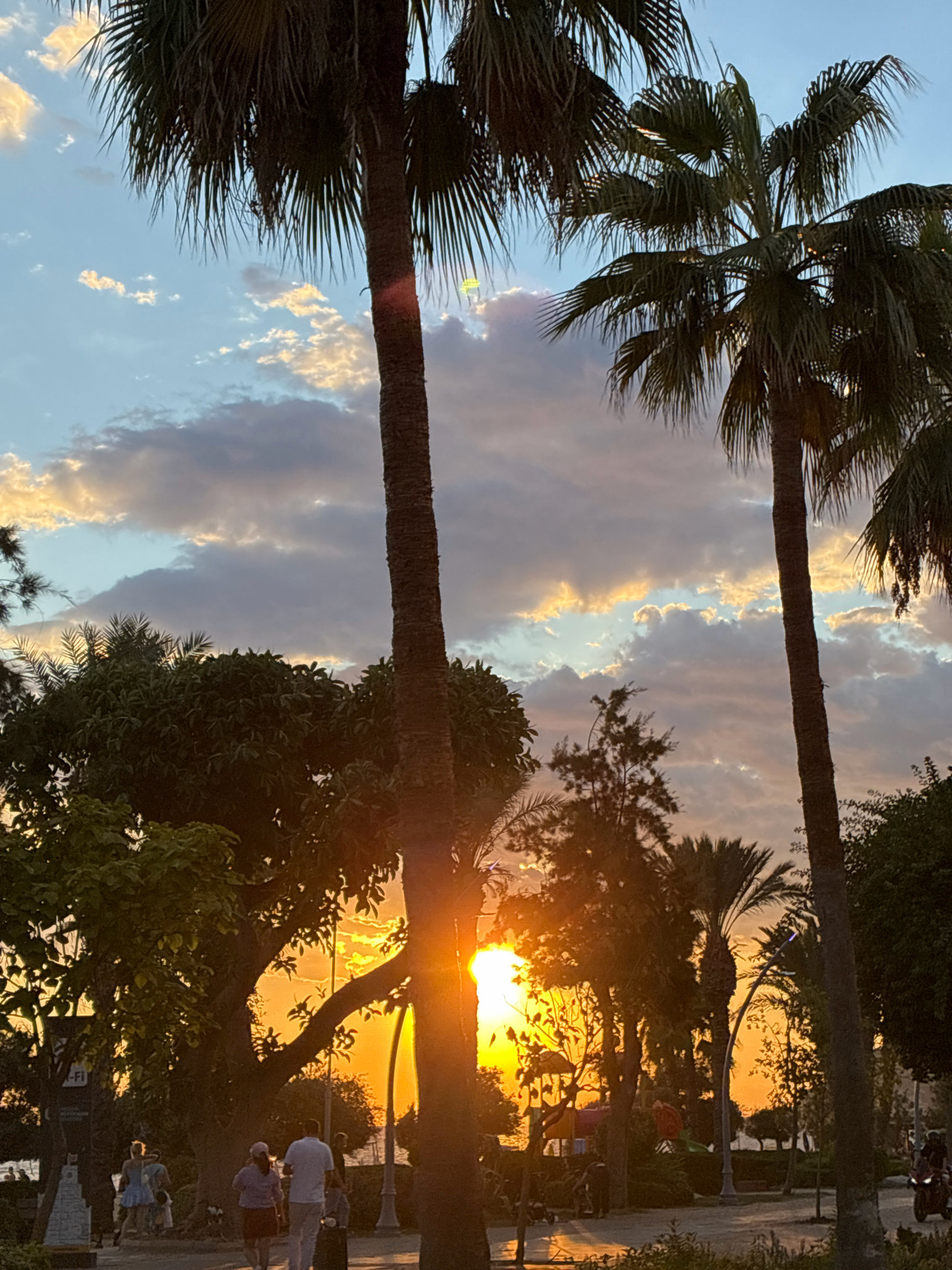 This is a vertical, medium shot captured at sunset, likely in Alanya, Turkey, featuring palm trees framing a sky filled with dramatic clouds illuminated by the setting sun. The sun's rays burst through gaps in the clouds, casting a warm, golden glow that silhouettes the foliage and trees in the foreground. Several people are visible walking along a paved pathway in the lower part of the image. One couple is walking away from the camera, with the man in a white t-shirt and light-colored pants, and the woman in a pink cap and skirt. Further to the left, a person in a light blue dress is seen. The pathway appears to be in a park or promenade area, with streetlights and lush vegetation contributing to the tropical ambiance. A motorcycle can be seen in the lower right corner of the frame, moving away from the viewer. The overall scene evokes a peaceful and picturesque evening in a coastal city.