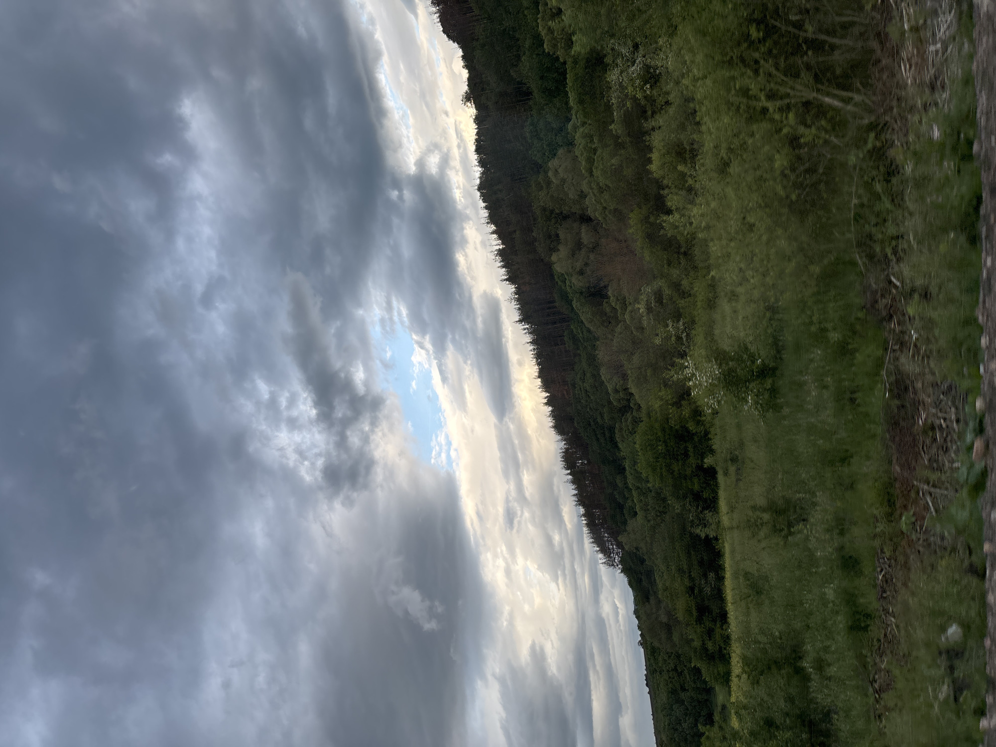 The image depicts a landscape scene with a dense forest on the right side and a cloudy sky on the left. The sky is dominated by grey clouds with patches of lighter, brighter sky peeking through. The forest consists of various shades of green. A field with lush green grass sits beside the forest. The image is rotated, so the sky appears to be on the side. The precise location within Baylovo, Bulgaria cannot be determined from the image.