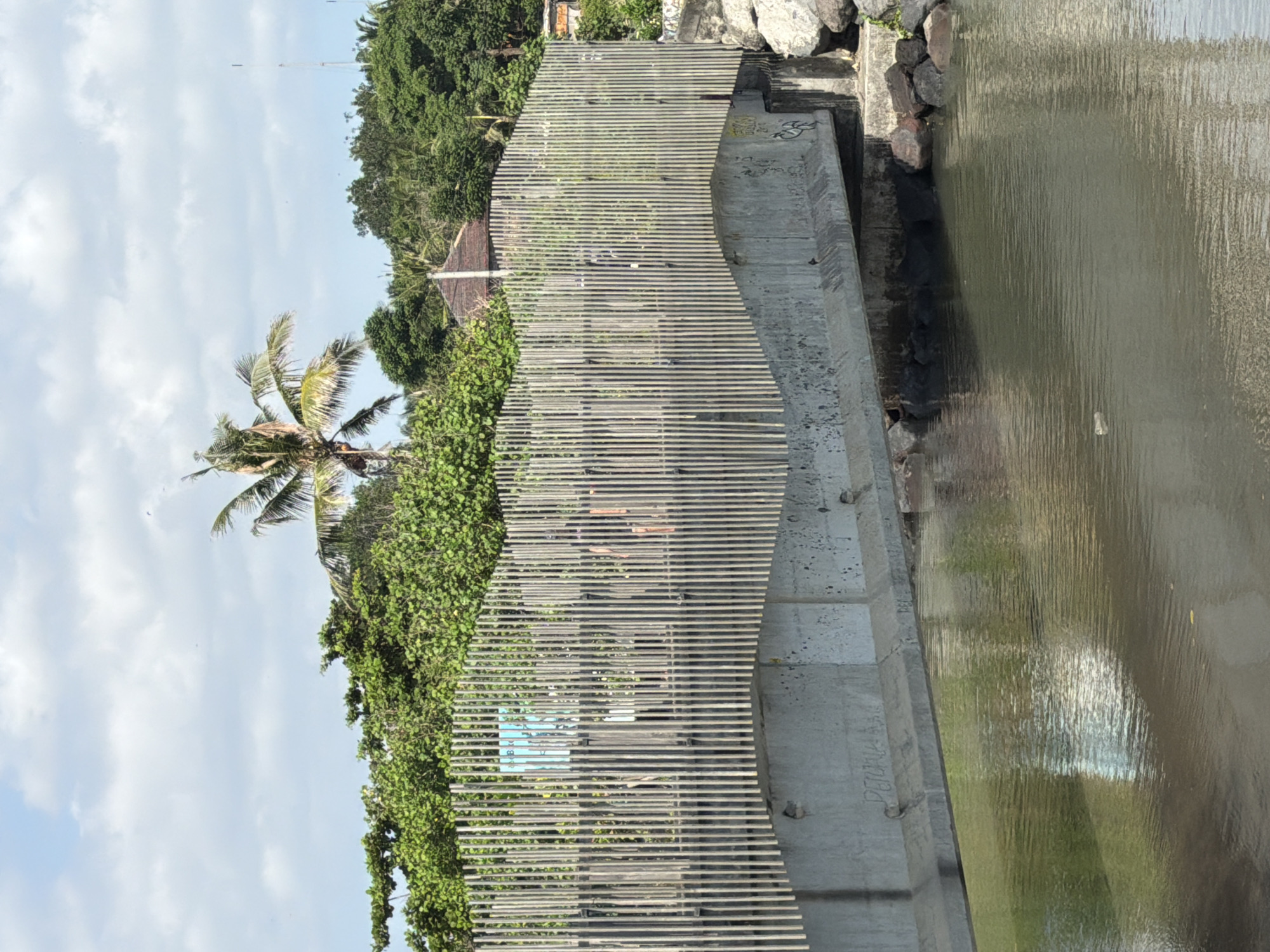 The image depicts a concrete bridge spanning a body of water in Mengwi, Indonesia. The bridge's underside is visible, showing some graffiti. The bridge is topped with a wooden slat fence that has a wavy design. Beyond the fence, a lush green canopy of trees and foliage is present, with a prominent palm tree reaching towards a sky with scattered clouds. In the distance, a portion of a building with a thatched roof is visible. The water in the foreground is calm and reflects the surrounding greenery and the bridge. There are a few dark rocks along the edge of the water beneath the bridge. Several indistinct figures appear to be present behind the wooden fence on the bridge, suggesting pedestrian activity.