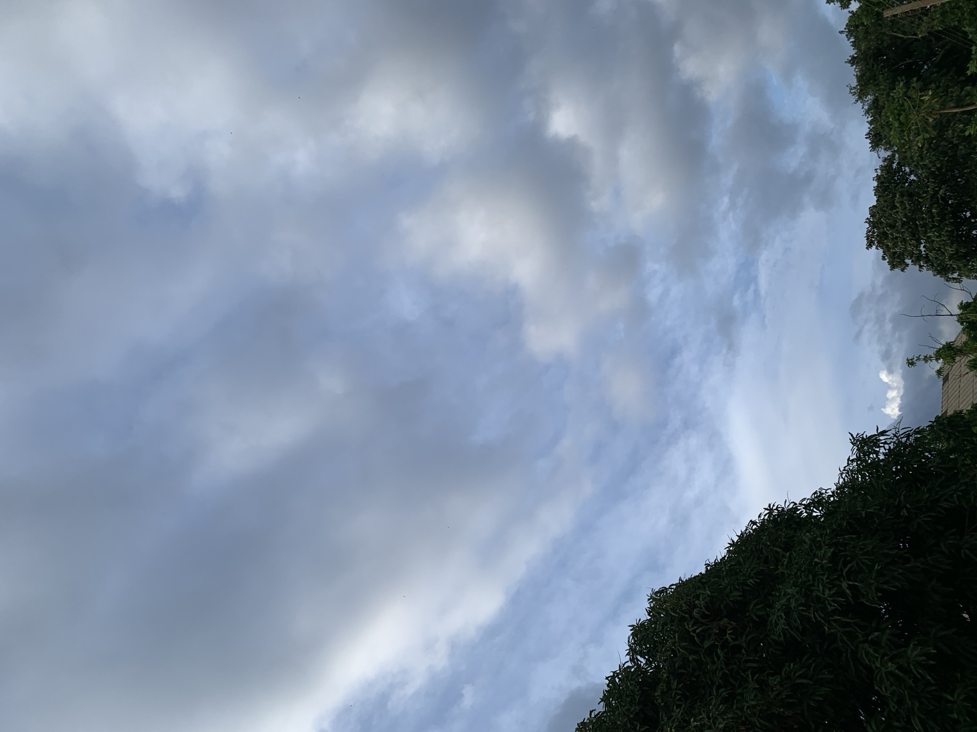 The image depicts a cloudy sky over Kuru Karama, Nigeria. A large, dark green tree dominates the left side of the frame, with its foliage reaching towards the sky. The sky itself is filled with a mix of light and dark gray clouds, with patches of blue visible. In the lower right corner, more trees and a glimpse of a building roof can be seen. The scene is a natural, outdoor environment with no people or discernible activity.