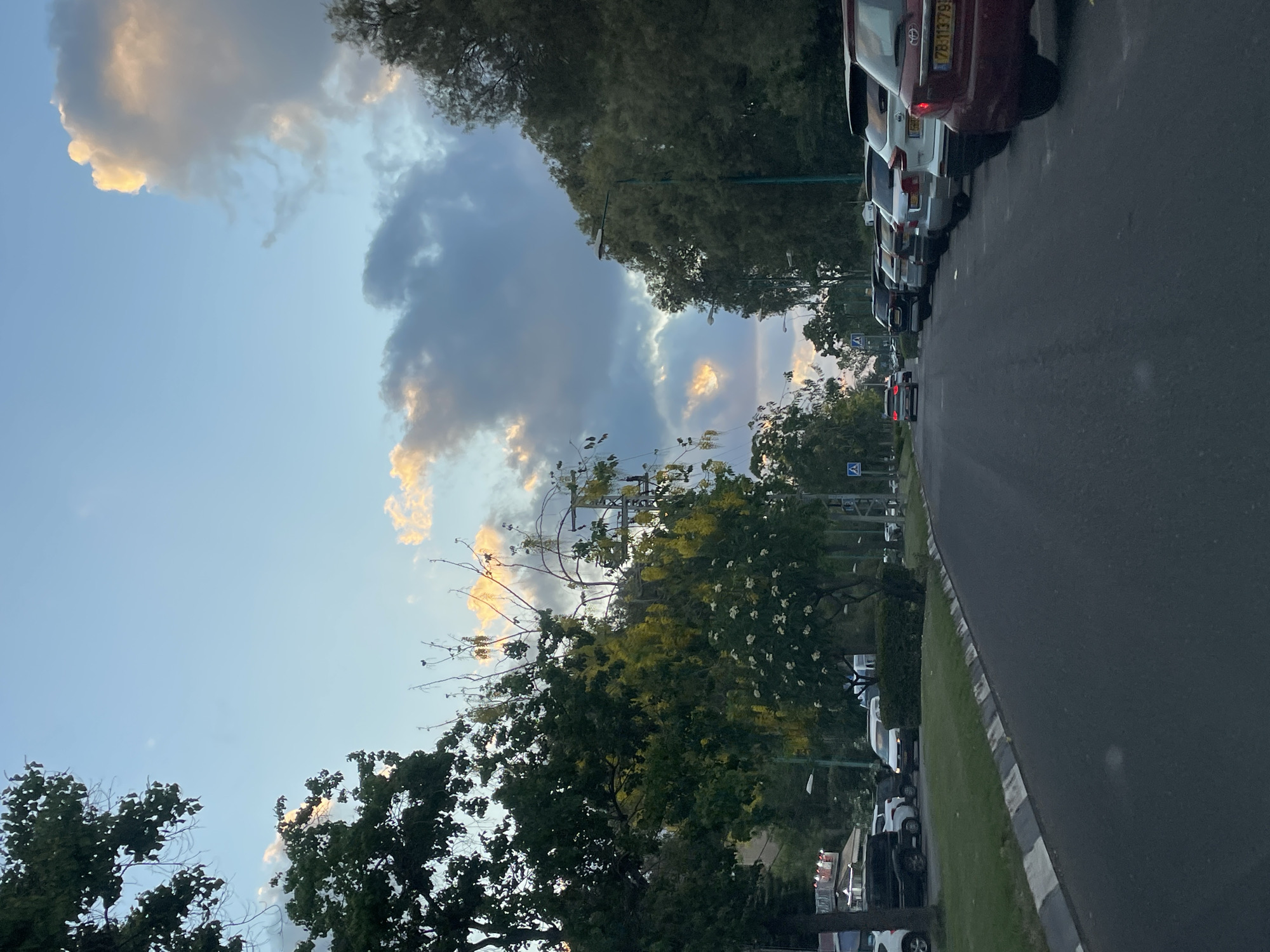 The image shows a street scene in Haifa, Israel, at dusk. The sky is a mixture of blue and dramatic clouds, with pockets of golden light peeking through, suggesting the sun is low on the horizon. On the left side of the road, there are trees with lush green foliage and some with yellow flowering branches. A street lamp is visible amongst the trees. On the right side of the road, a row of parked cars lines the street. The cars are of various makes and models, with a red SUV in the foreground displaying an Israeli license plate that reads "78 113 79". Further down the street, more cars and trees are visible. The road itself is paved asphalt. A sidewalk with a checkered curb runs alongside the parking area. The overall impression is that of a residential or commercial street in a city during the transition from day to night.