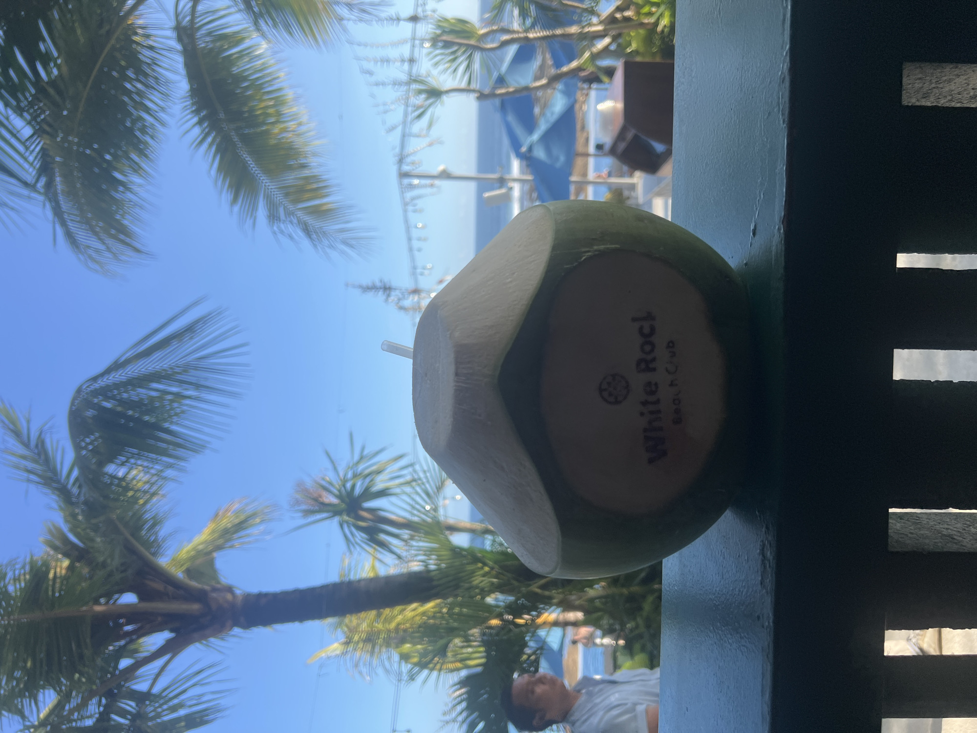 The image depicts a coconut with a straw, marked with "White Rock Beach Club," likely a beverage. The coconut is positioned near a dark green wooden structure with slats that partially obscure the view beyond. Palm trees are visible under a bright blue sky, suggesting a tropical location. In the background, a glimpse of the ocean and possibly a beach structure can be seen. A person is partially visible at the bottom center, wearing a light-colored shirt. Based on the signage, the location is likely White Rock Beach Club in Kuta Selatan, Indonesia.