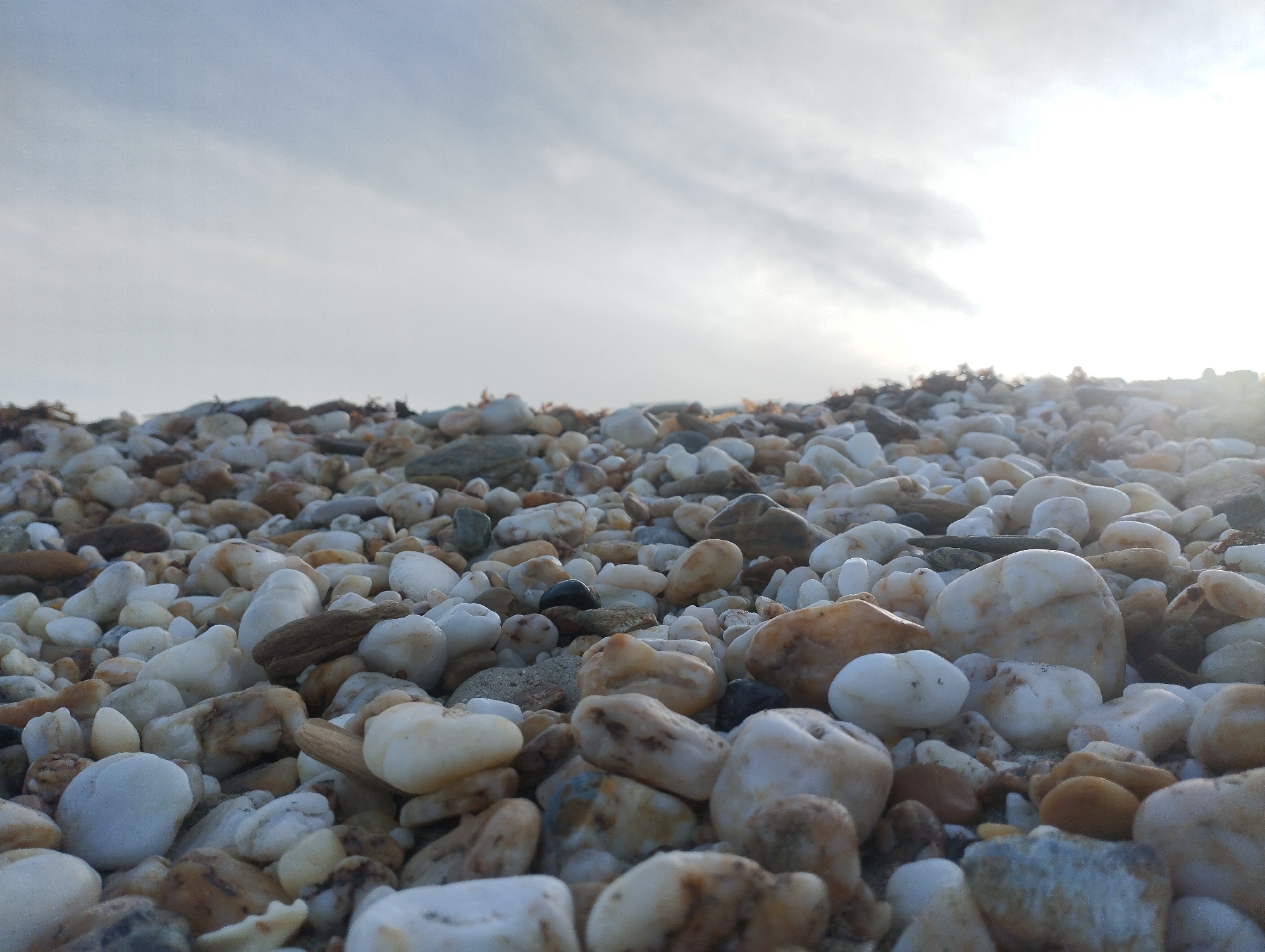 The image shows a close-up view of a pebble beach under a bright sky. The pebbles are primarily white and tan, with some gray and darker stones mixed in. The composition emphasizes the texture and variation of the pebbles, with a shallow depth of field. The sky is overcast with some brighter patches, and the light source is strong enough to create glare in the upper right of the frame. The absence of discernible landmarks or signs makes it impossible to confirm whether this beach is in Porlamar, Venezuela, based solely on the visual information available. No people, subjects, actions, or interactions are discernible in the image. The environment consists only of the pebble beach and the sky.