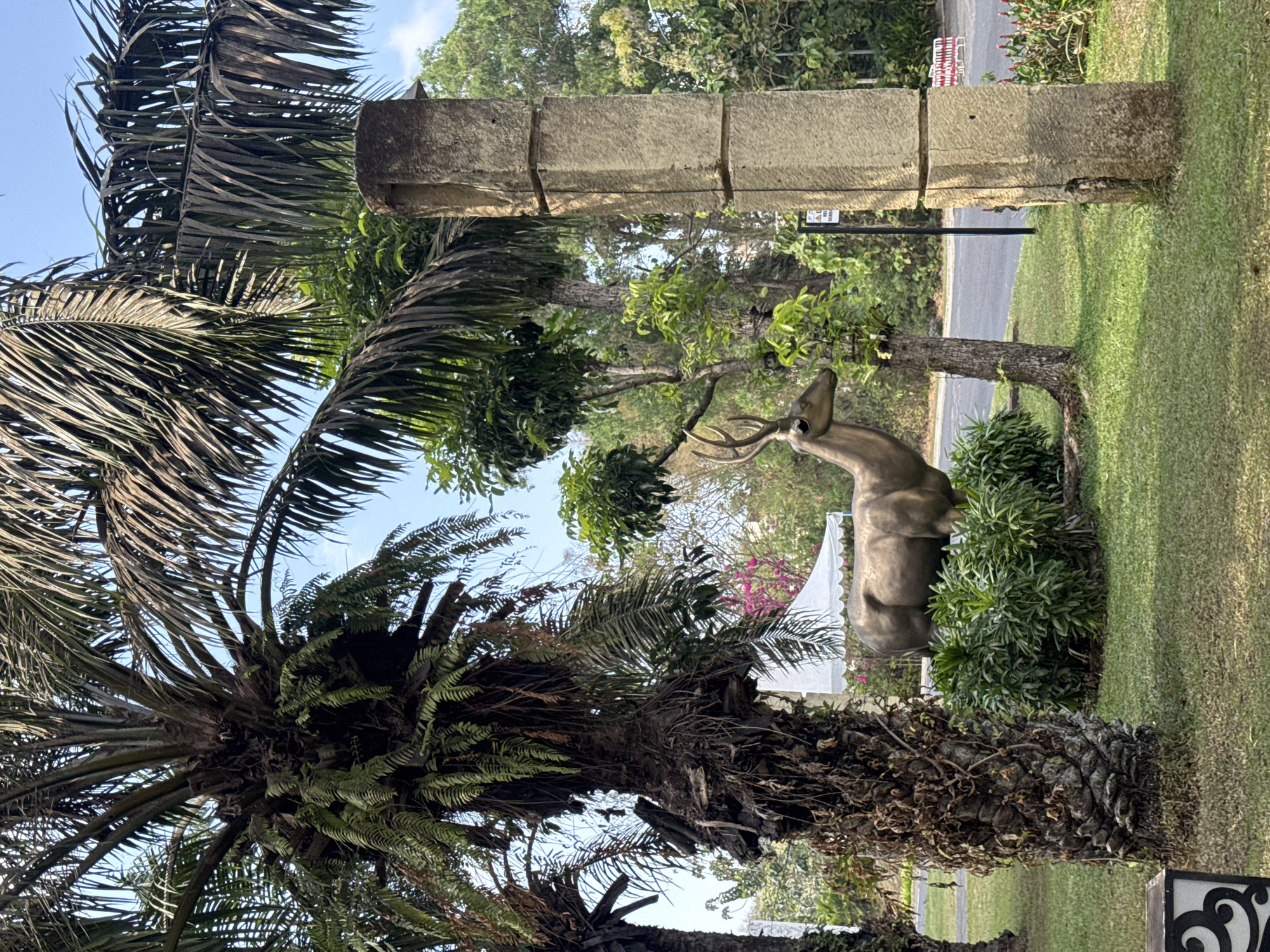 In Kuta Selatan, Indonesia, a park scene unfolds under a bright, clear sky. The foreground is dominated by the textured, brown trunk of a mature palm tree, its fronds casting dappled shadows across the lush green grass. To the right of the palm, a rough-hewn, square stone pillar stands sentinel.
Mid-ground reveals a bronze statue of a deer, its antlers prominently displayed, standing amidst a cluster of vibrant green bushes. Behind the deer, a large, white tent is partially visible. The landscape is dotted with various trees and foliage, creating a natural, verdant environment. A paved road runs through the background, bordered by more greenery and a red and white striped barrier. The overall impression is one of a tranquil outdoor space, possibly a garden or a public park, offering a serene natural setting.