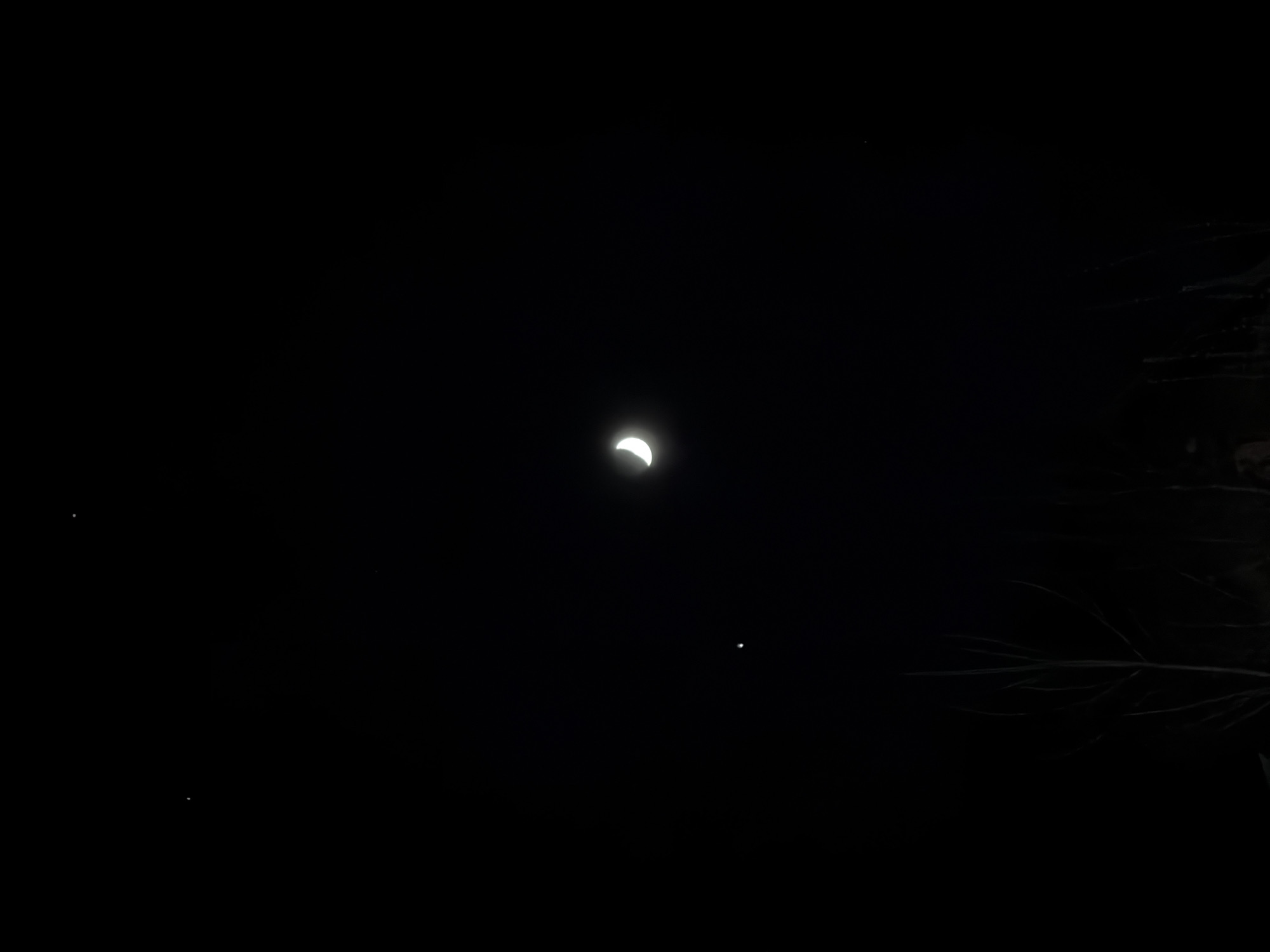 The image depicts a crescent moon in a very dark night sky. There are a few faint stars visible scattered across the upper-left and lower-middle of the frame. Bare tree branches are visible in the lower-right. The location, Izhevsk, Russia, cannot be verified from the image alone. No people are visible.