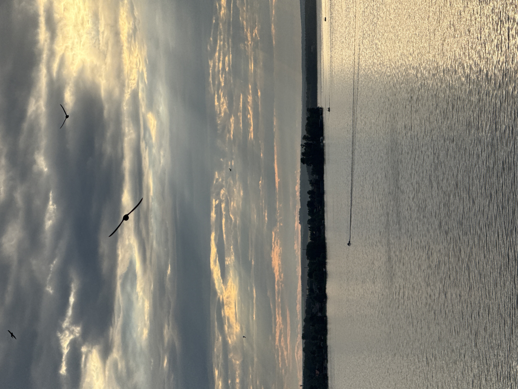 The image depicts a tranquil, wide-angle view of a body of water, likely a lake or river, at sunset. The sun, low on the horizon, casts a warm, golden glow across the water's surface, creating a textured pattern of light and shadow. Wispy, elongated clouds streak across the sky, tinged with the same golden hue, suggesting a clear or partly cloudy evening.
Silhouetted against the dramatic sky are two birds in flight, their dark forms stark against the illuminated clouds. In the distance, a slender strip of land, lined with trees and hints of structures, forms the far bank of the water. A few small boats are visible on the water, one with a single person, adding a sense of scale and human presence to the otherwise natural scene. The overall mood is serene and peaceful, capturing the quiet beauty of a natural landscape at dusk. The image appears to be taken from an elevated perspective, looking out over the water. There is no visible text in the image.