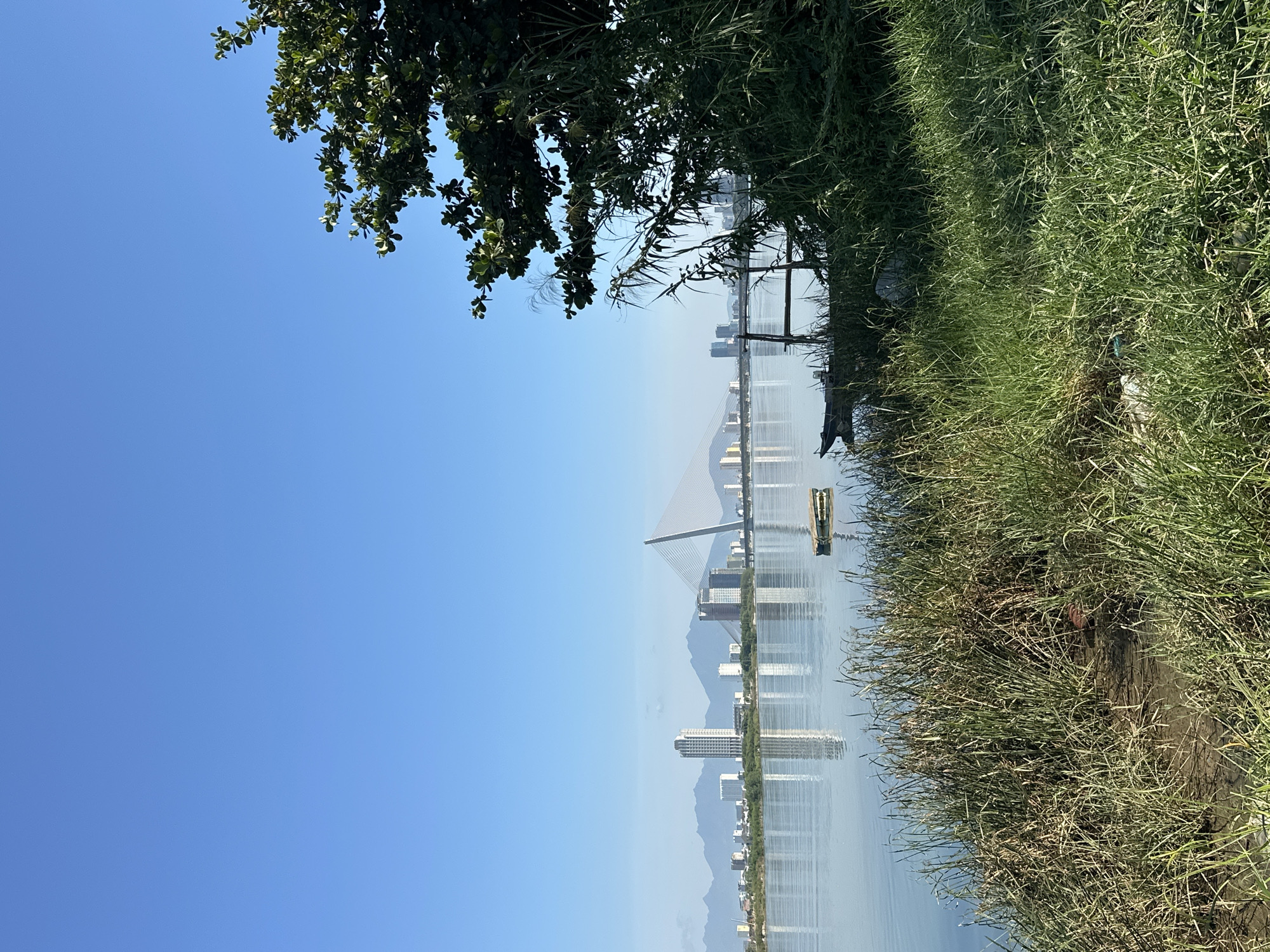 The image shows a wide river in Da Nang, Vietnam, with a cityscape in the background. On the left bank of the river, there are tall buildings and mountains in the distance. A prominent cable-stayed bridge with a single pylon stretches across the river. The right bank is covered in dense green vegetation, including trees and tall grasses. In the foreground, the riverbank is lined with dry grasses and some visible debris. A small, weathered wooden boat is tied to a makeshift wooden structure near the shore. A small, rectangular wooden raft floats on the calm water in the middle of the river. The sky is clear and bright blue, suggesting a sunny day.
