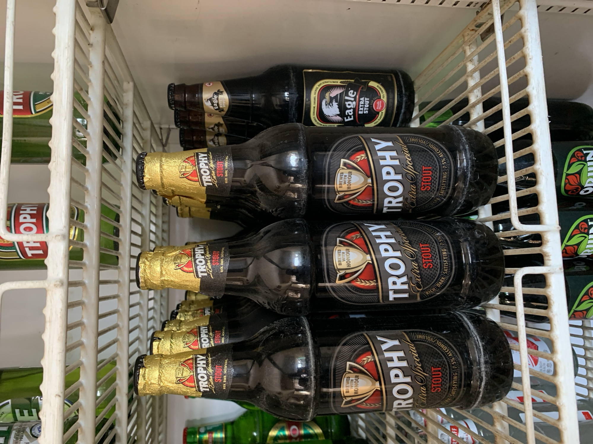 The image shows a shelf in a refrigerator filled with bottles of beer. There are bottles of "Trophy Extra Special Stout" and "Eagle Extra Stout". The Trophy Stout bottles are mostly dark with gold foil around the neck. The Eagle Stout bottles are also dark, with the Eagle logo visible on the label. Other bottles of green beer are visible on other shelves. The location and subjects cannot be determined from this image alone.