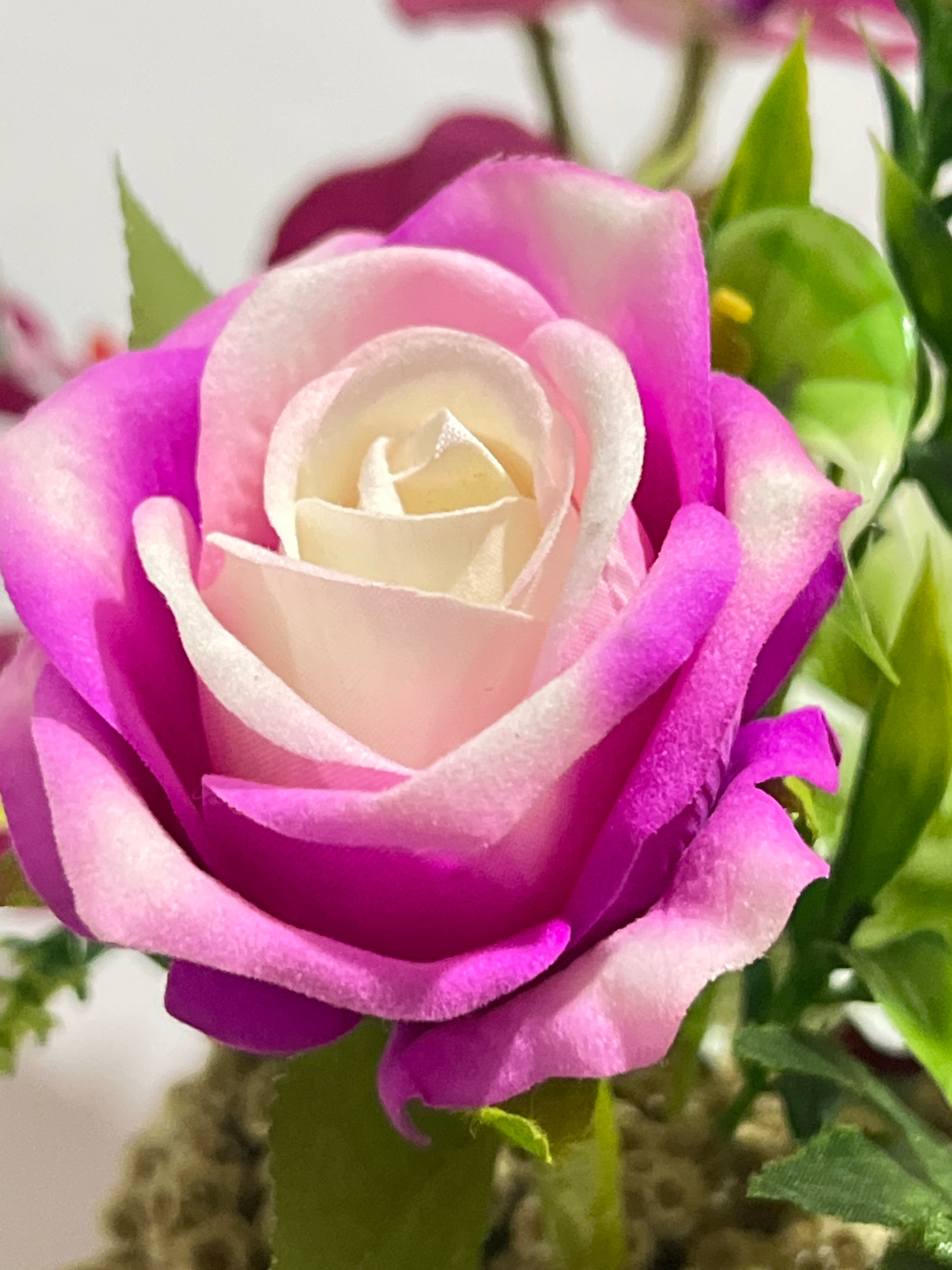 A close-up, high-angle shot shows a vibrant, artificial rose with petals transitioning from white at the center to soft pink, then to a deep magenta at the edges. The rose is positioned slightly off-center to the left. Several unfocused green leaves and stems are visible behind and to the right of the rose, creating a blurred background. The texture of the petals appears soft and velvety. The image does not provide any information about the city of Denpasar, Indonesia, or any people or actions.