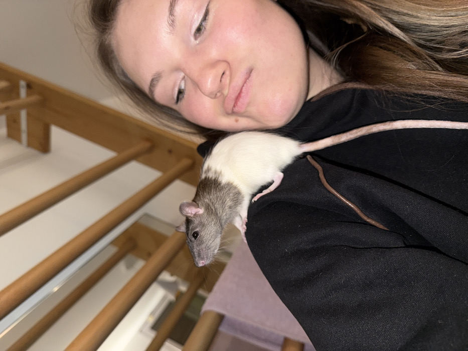 A woman rests her head on the shoulder of a gray and white rat sitting on her black sweatshirt. The rat's tail extends along the woman's shoulder. A wooden stair railing is visible in the background, angled upwards. The woman's face is partially visible, looking downwards.